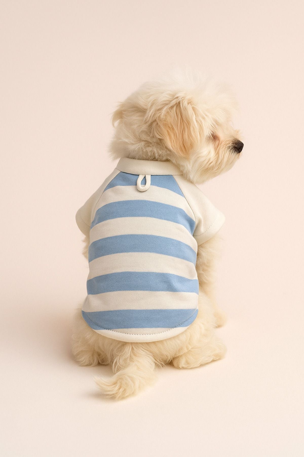 Dog or Cat Shirt - Blue and White Striped
