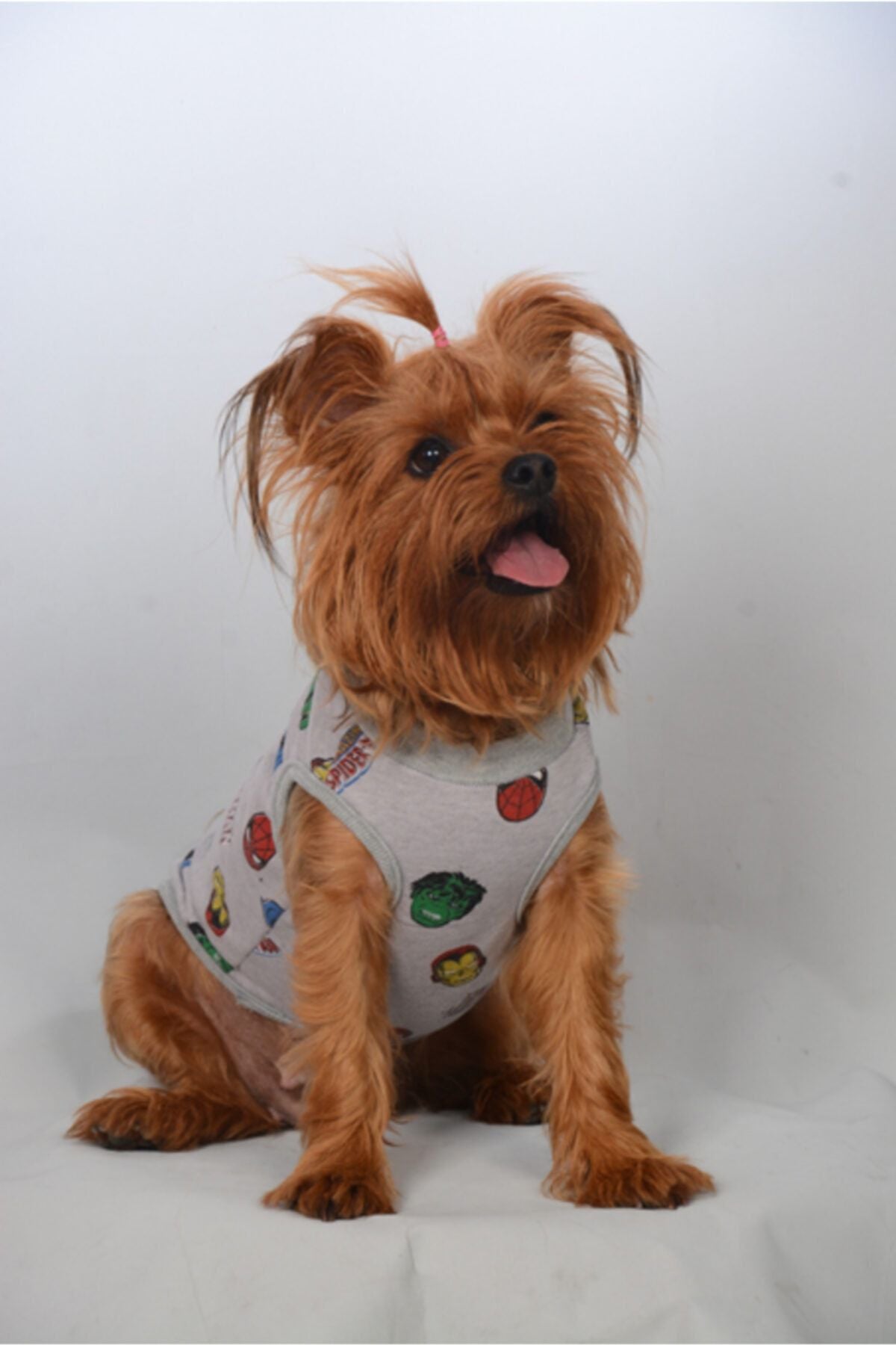 Dog or Cat T-Shirt - Marvel