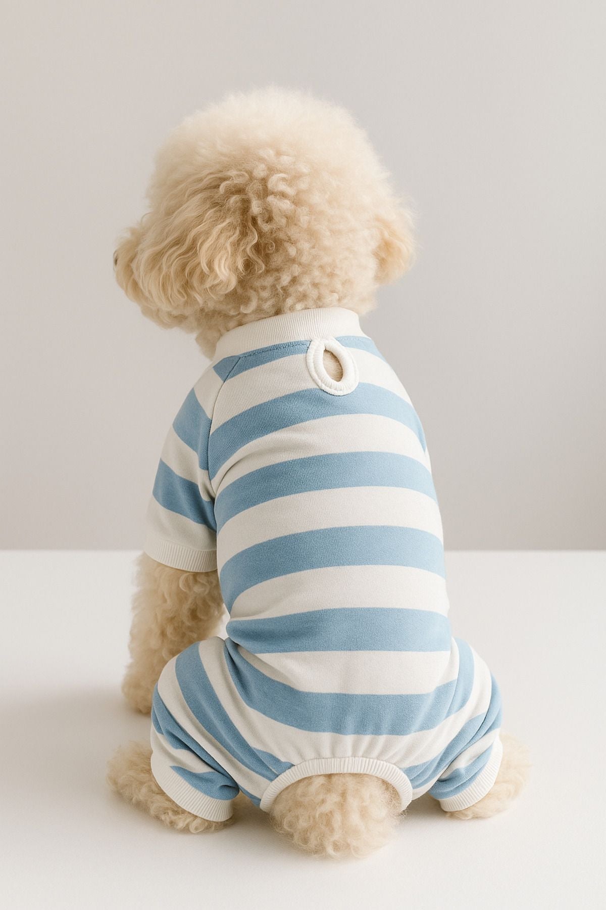 Dog or Cat 4 Leg Jumpsuit - Blue and White Striped