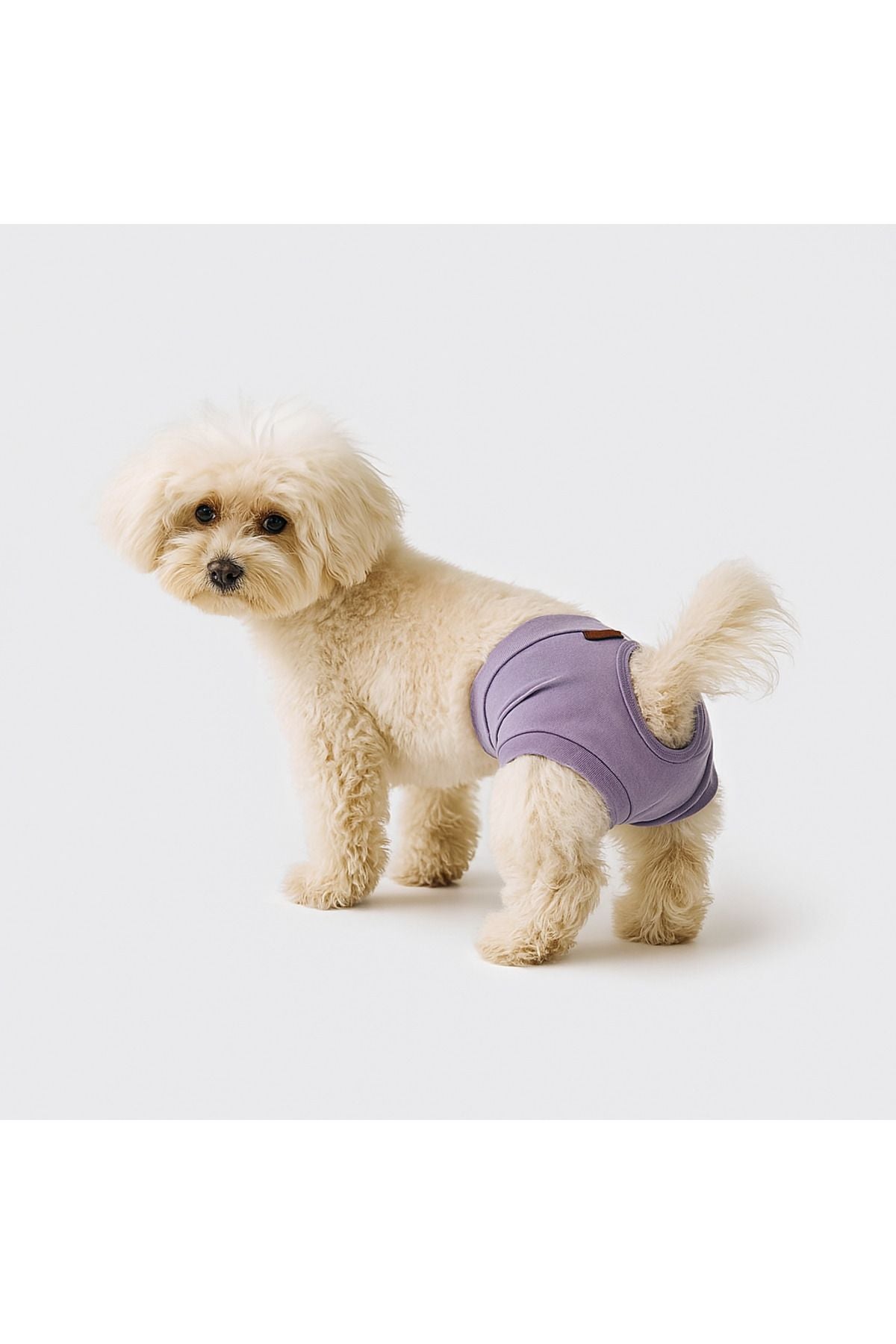 Dog or Cat Panties - Lilac