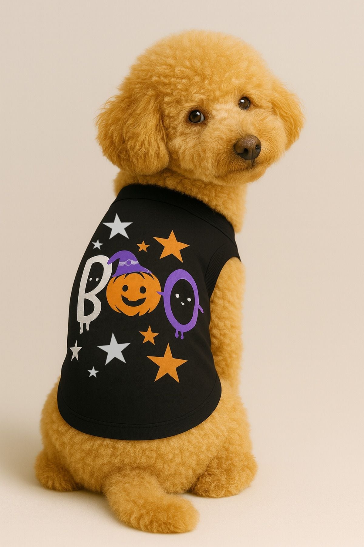 Dog or Cat T-Shirt - Black Pumpkin