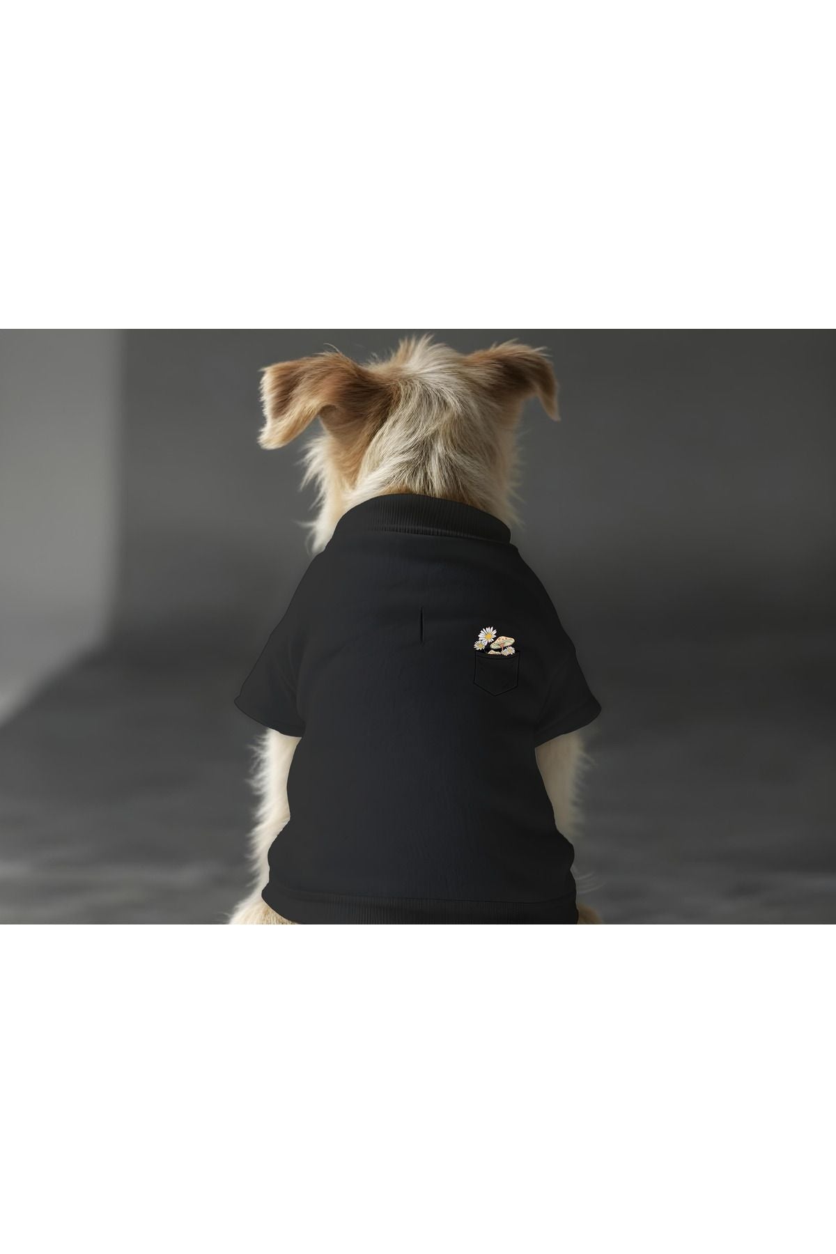 Dog or Cat Sweatshirt - Black Flower Pocket