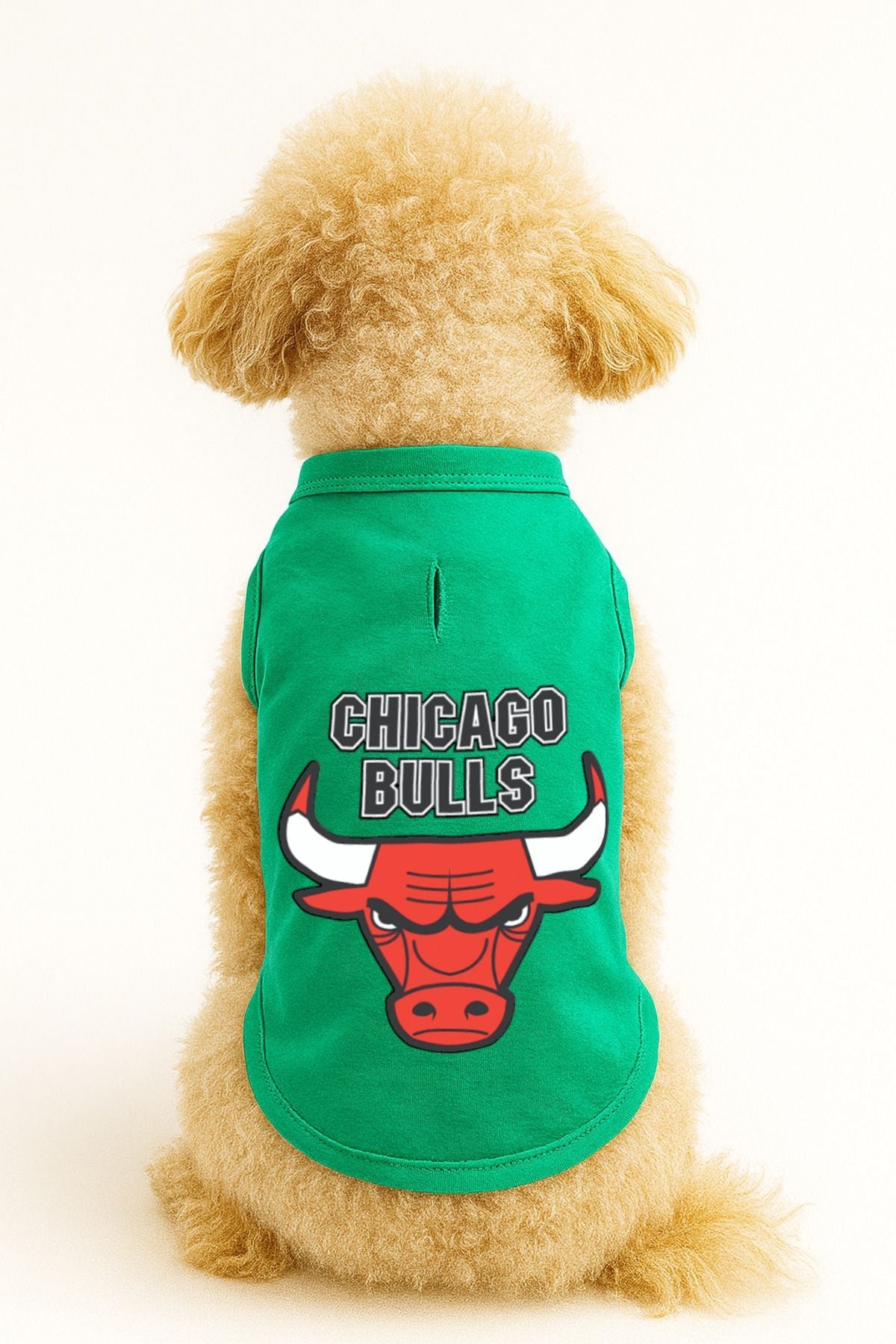 Dog or Cat T-Shirt - Green Chicago Bulls