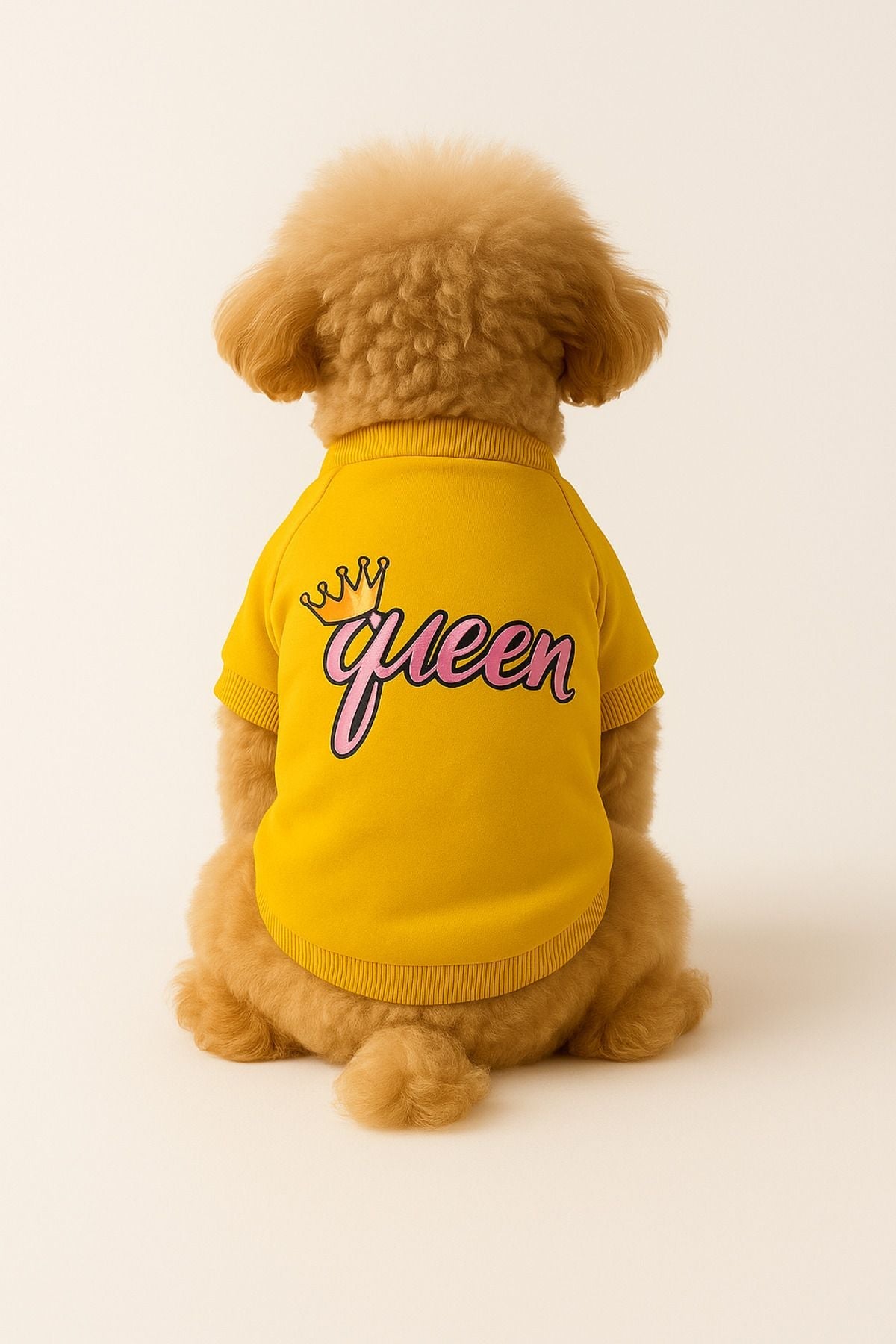 Dog or Cat Sweatshirt - Yellow Queen