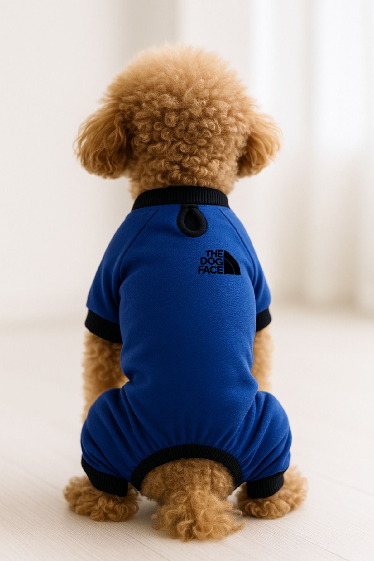Dog or Cat 4 Leg Jumpsuit - Blue The Dog Face
