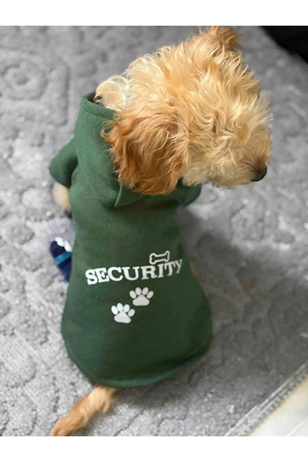 Dog or Cat Hoodie - Green Security