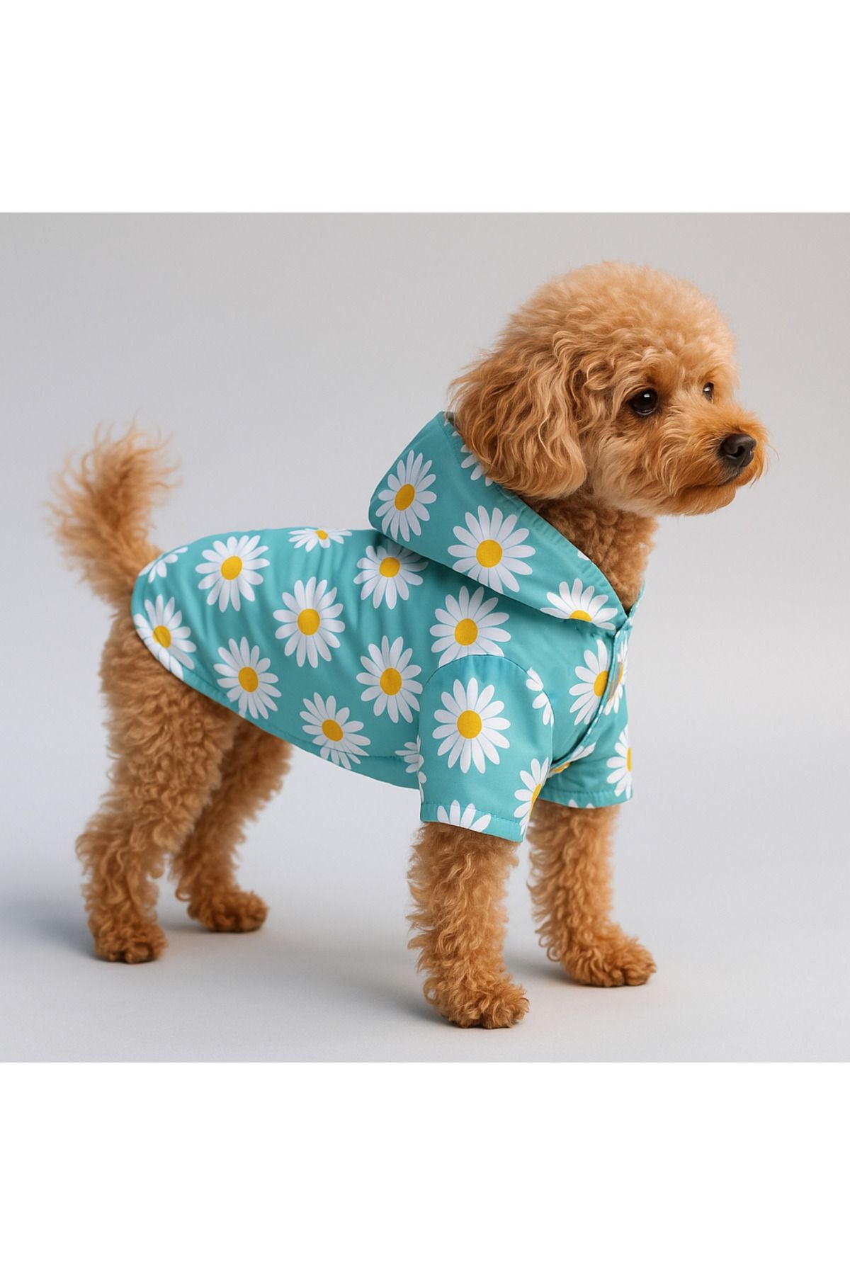Dog Raincoat - Waterproof - Mesh - Blue Daisy