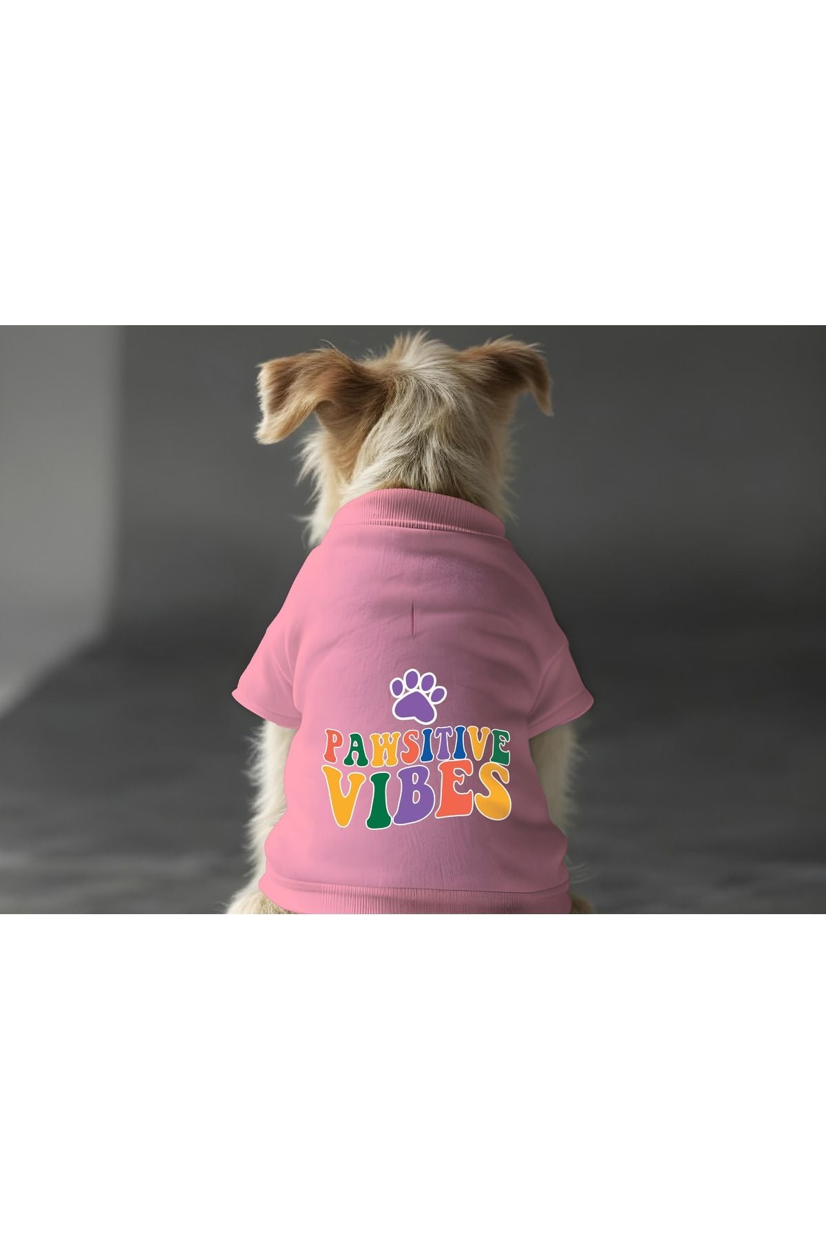 Dog or Cat Sweatshirt - Pink Pawsitive Vibes