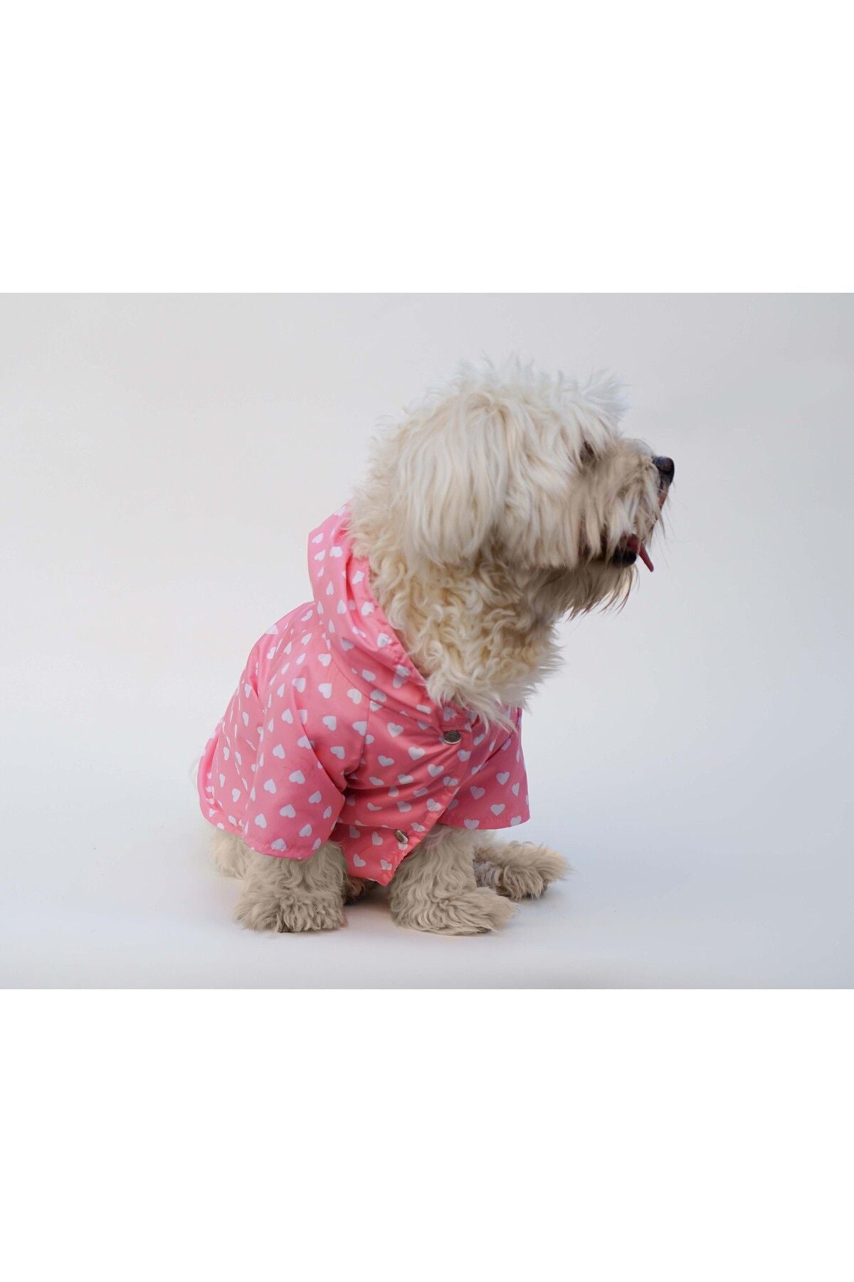 Dog Raincoat - Waterproof - Mesh - Pink Heart