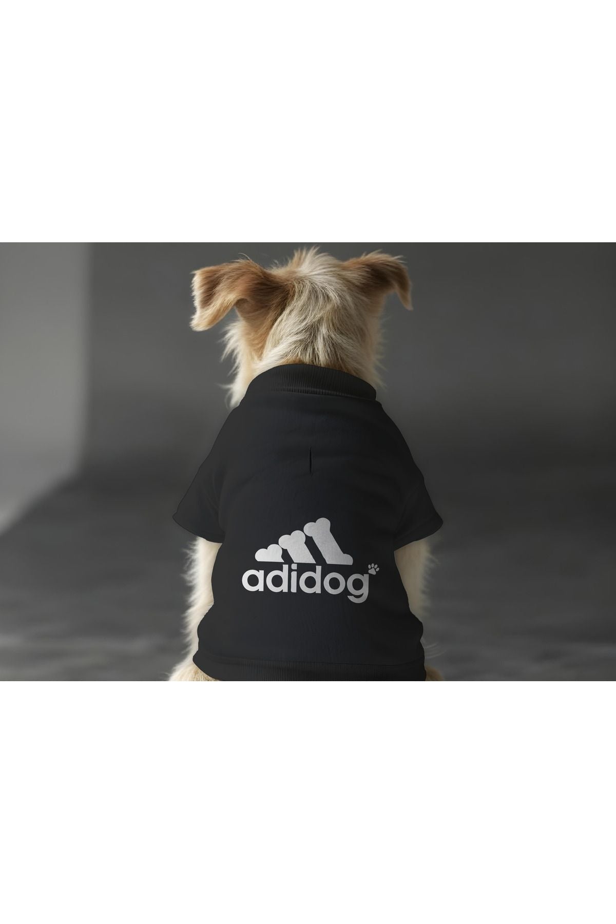 Dog or Cat Sweatshirt - Black Adidog