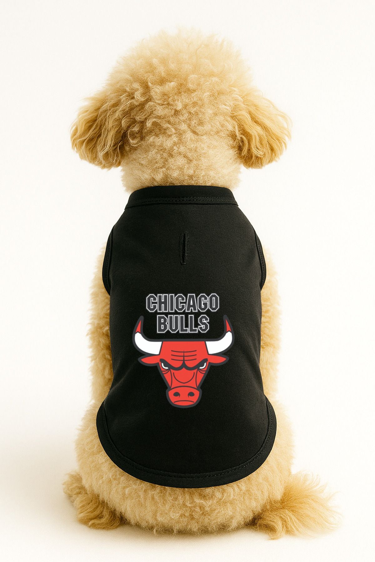 Dog or Cat T-Shirt - Black Chicago Bulls