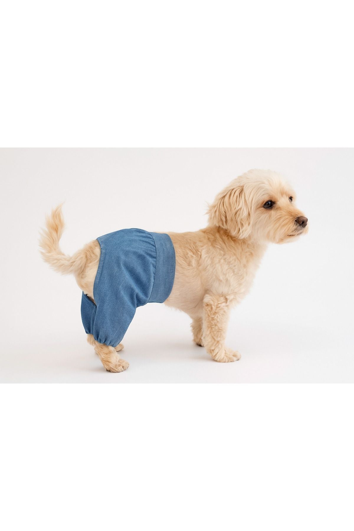 Dog or Cat Pants - Jean