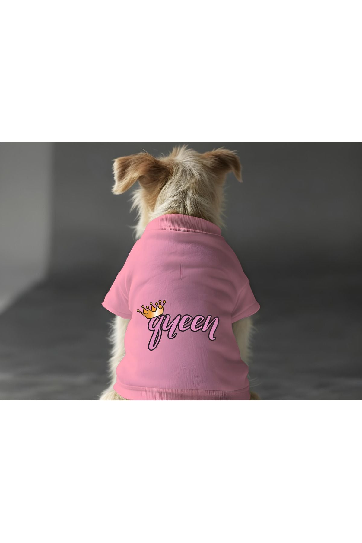 Dog or Cat Sweatshirt - Pink Queen