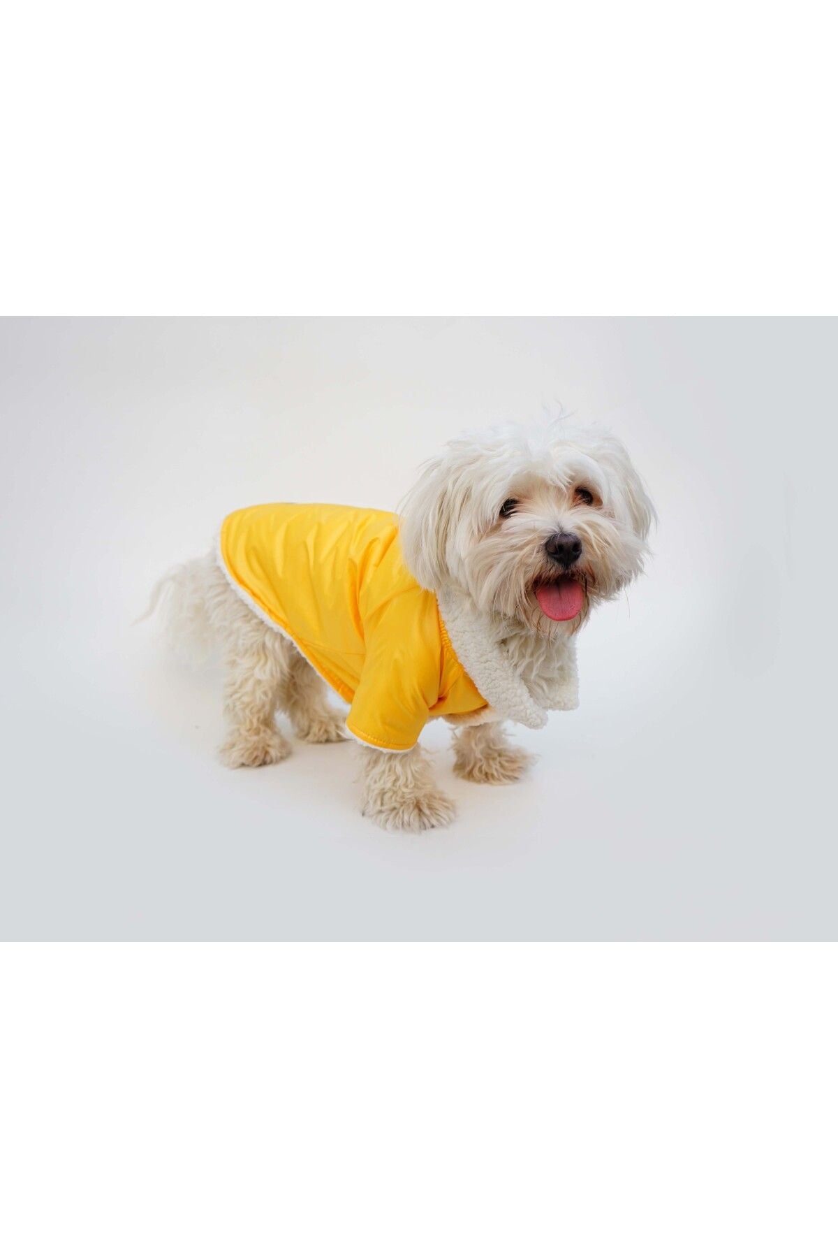 Dog Jacket & Vest - Blank Yellow Fur Coat
