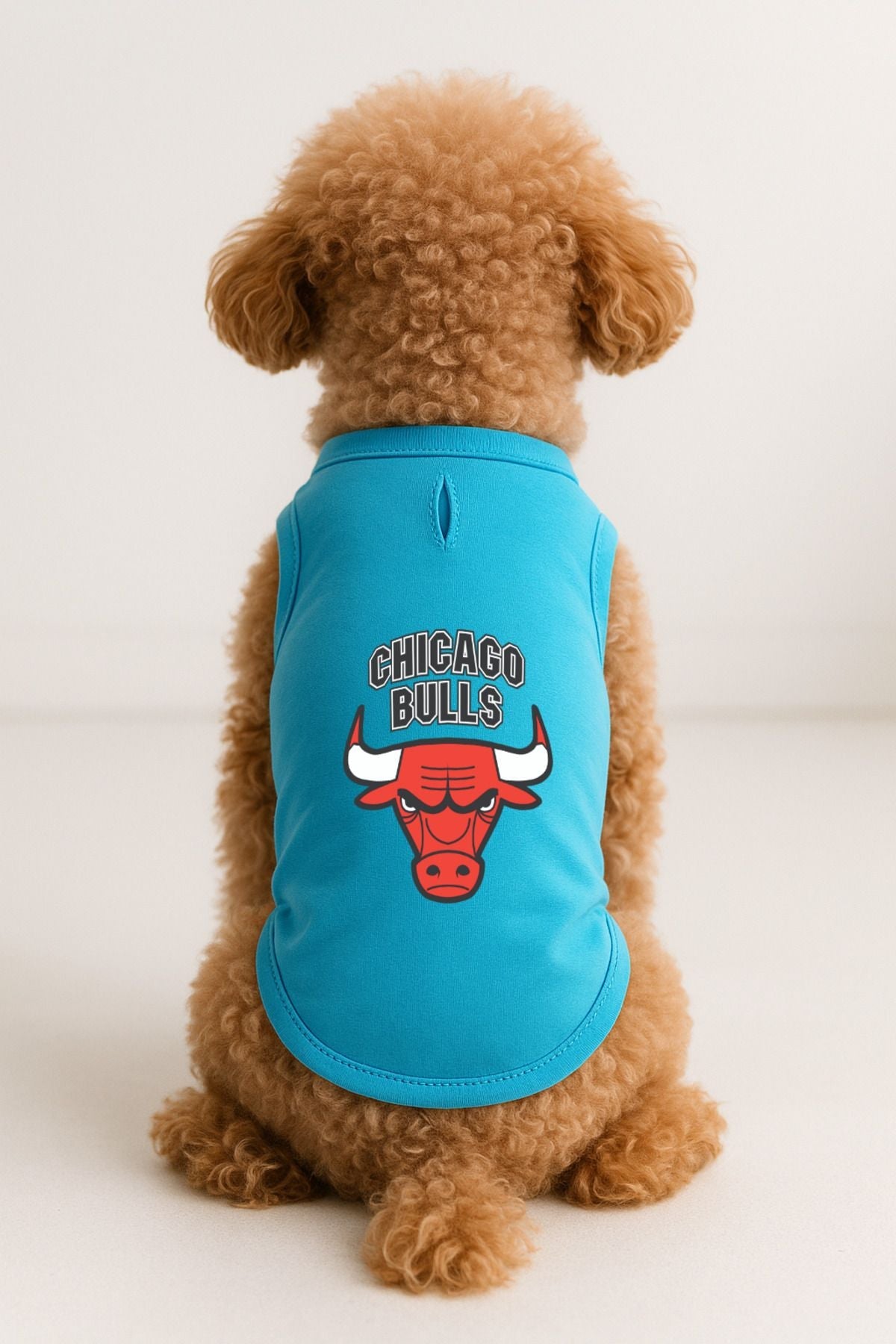 Dog or Cat T-Shirt - Turquoise Chicago Bulls