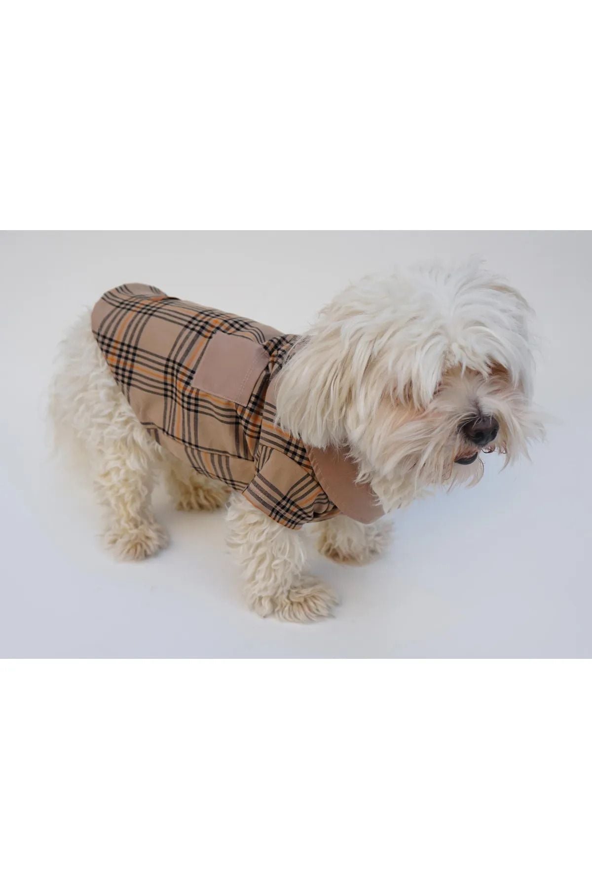 Dog or Cat Vest - Blank Beige
