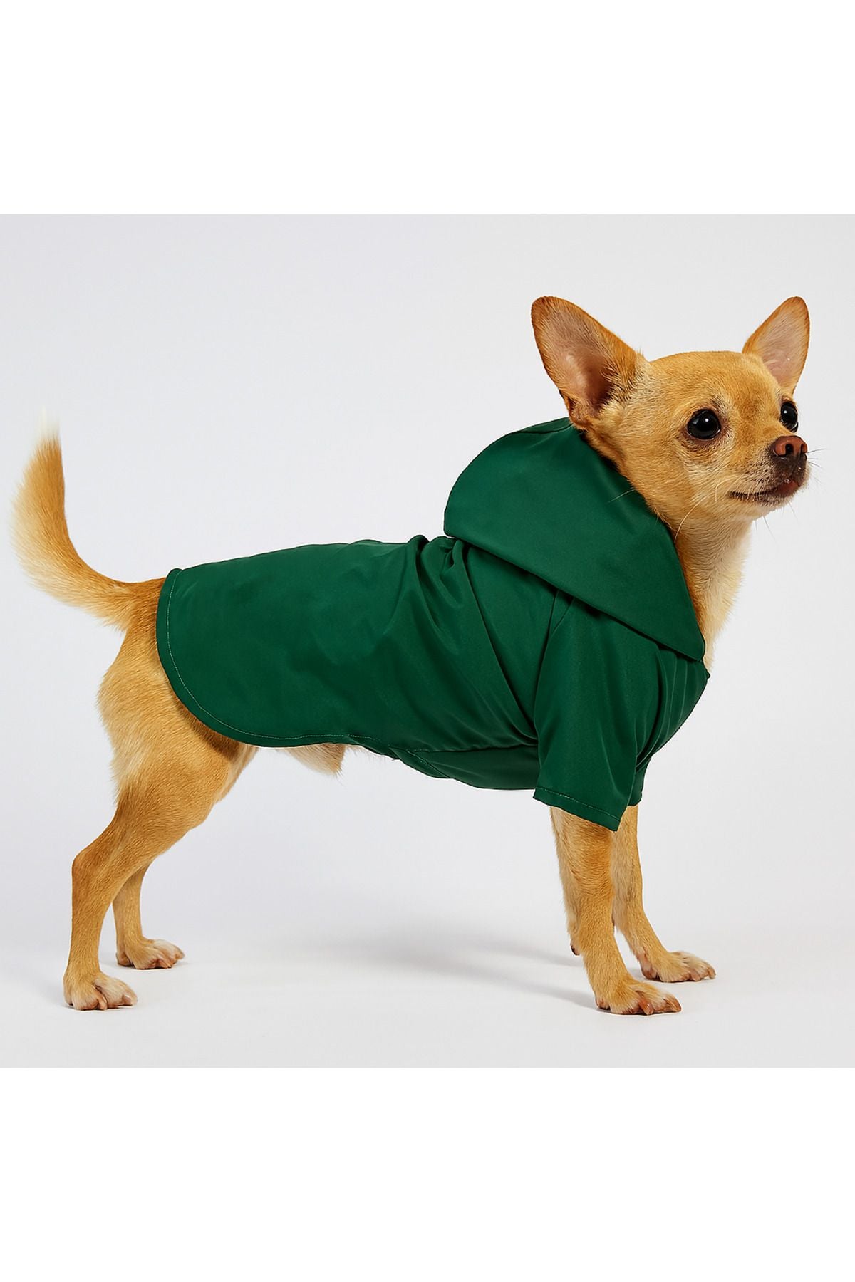 Dog Raincoat - Waterproof - Mesh - Blank Green