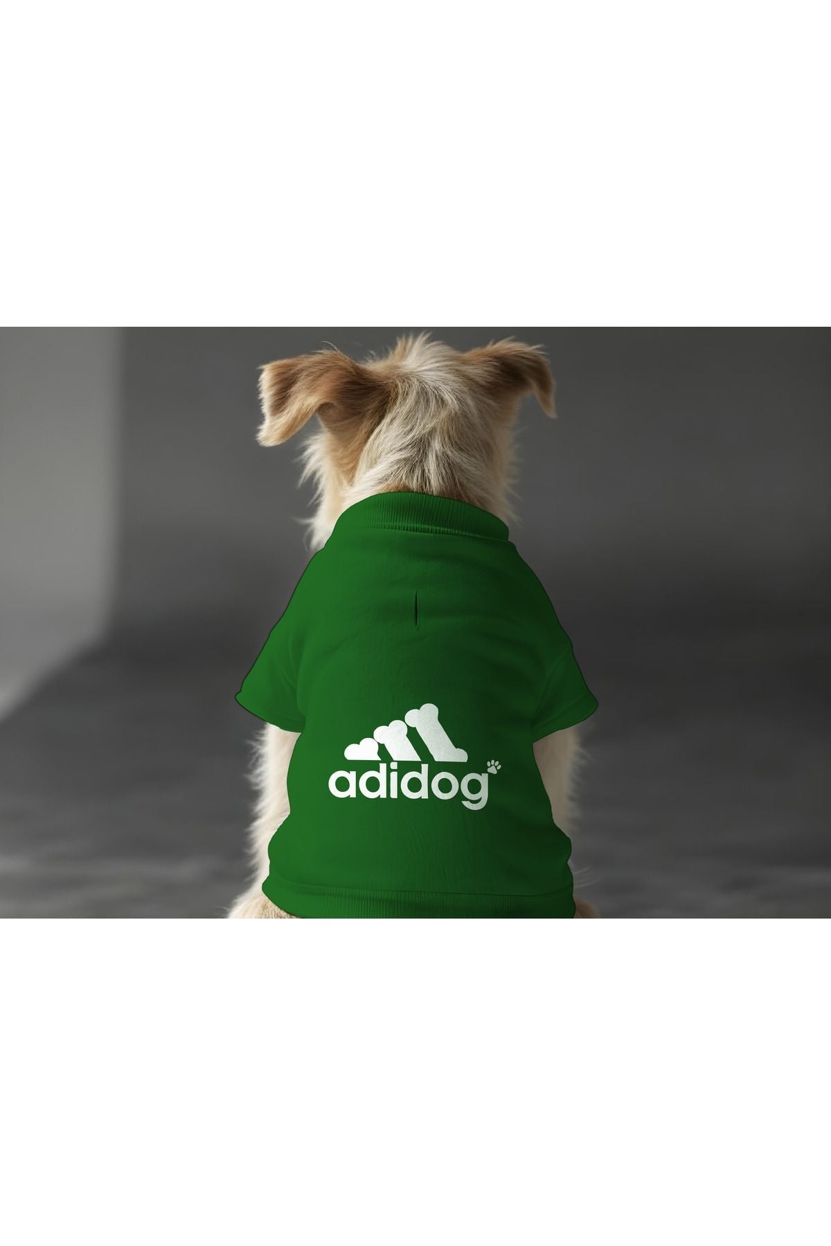 Dog or Cat Sweatshirt - Green Adidog