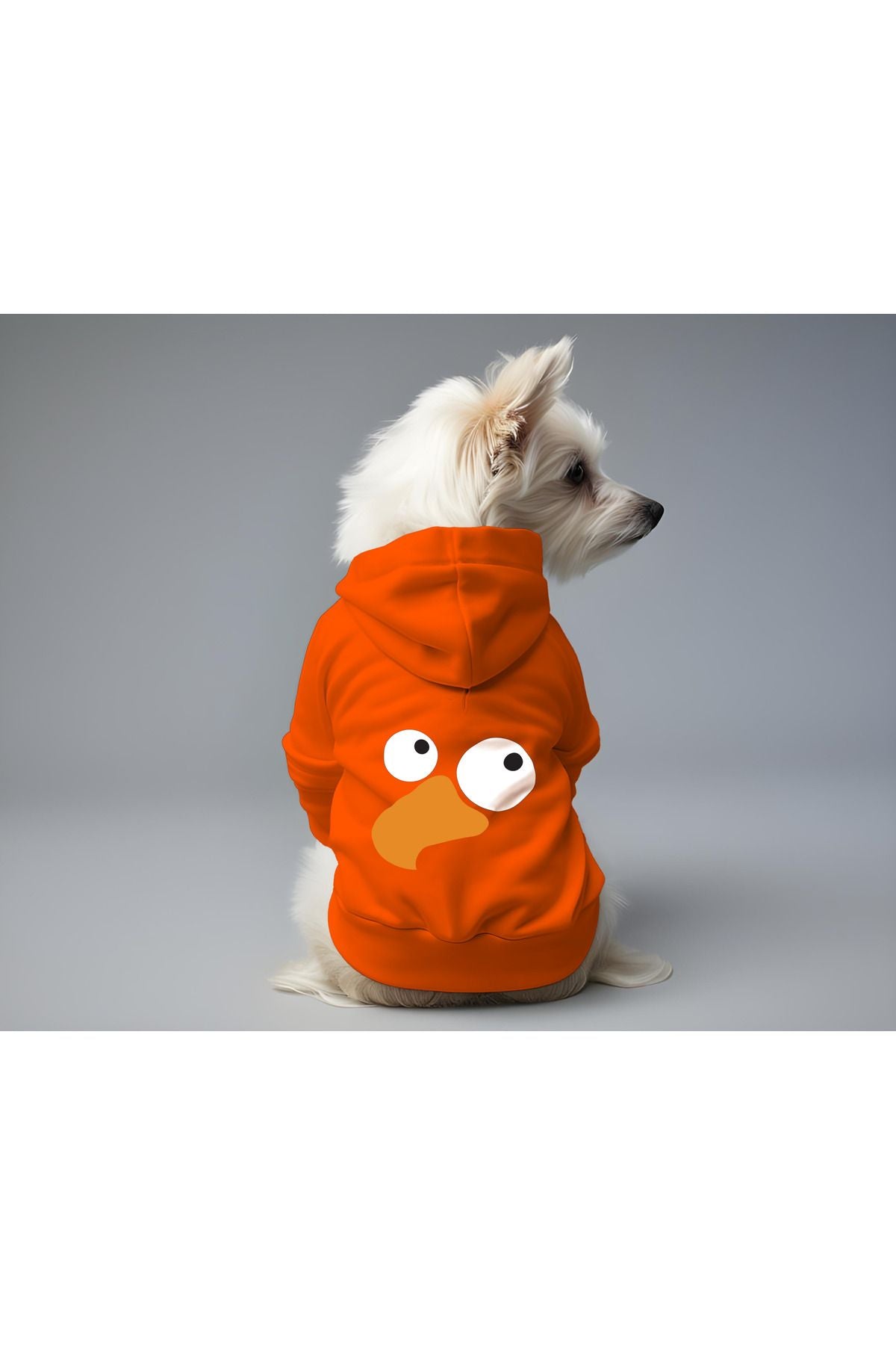 Dog or Cat Hoodie - Orange Bird
