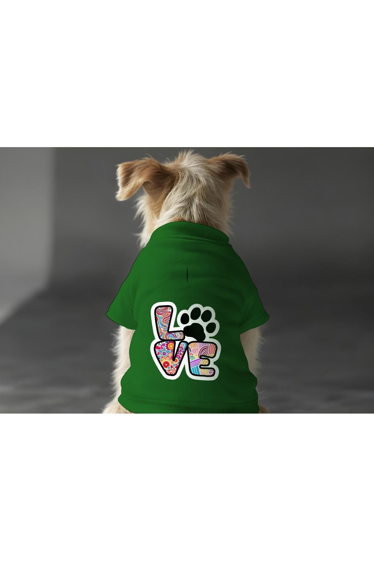 Dog or Cat Sweatshirt - Green Colorful Love