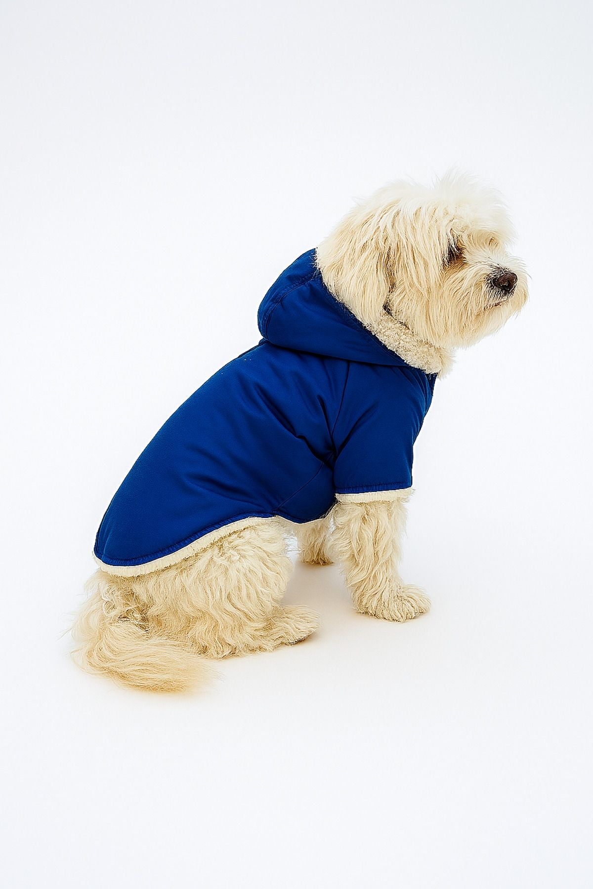 Dog Jacket & Vest - Blue Hooded Fur Coat