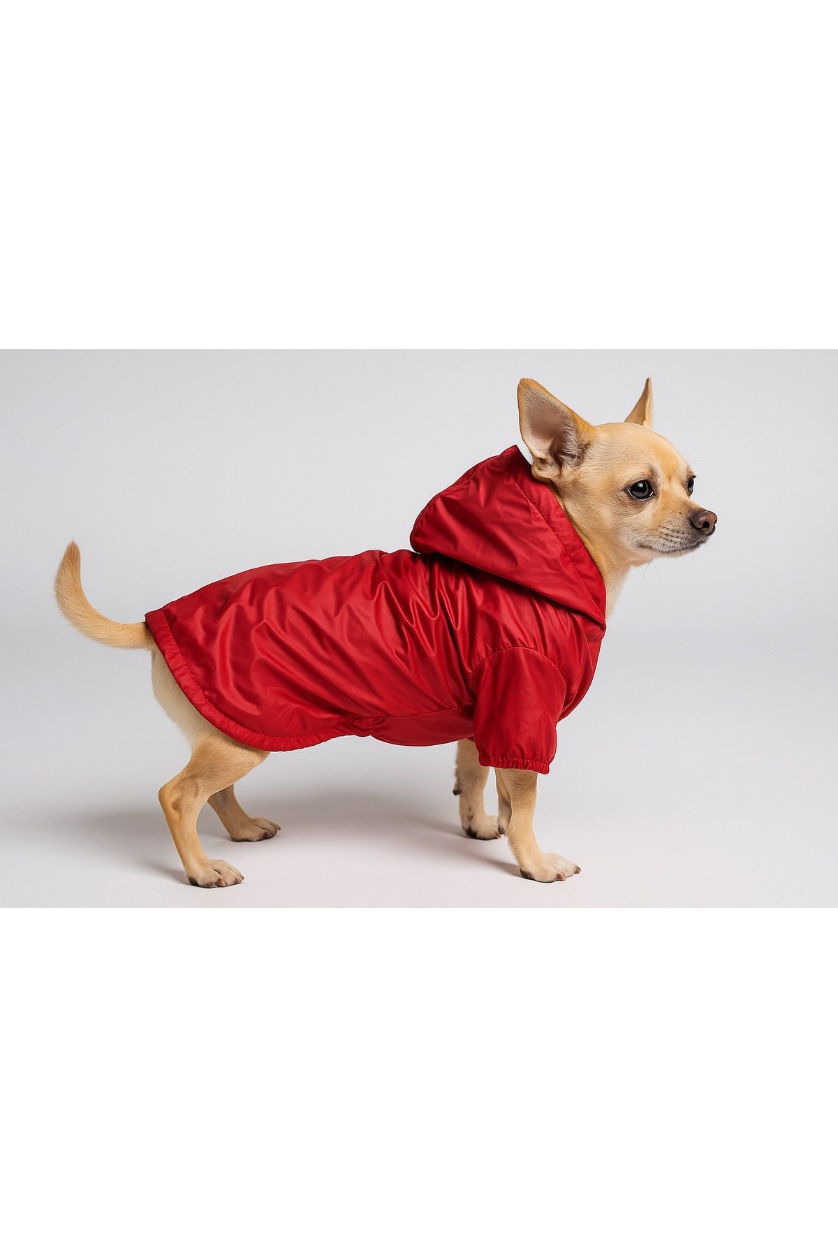 Dog Raincoat - Waterproof - Mesh - Blank Red