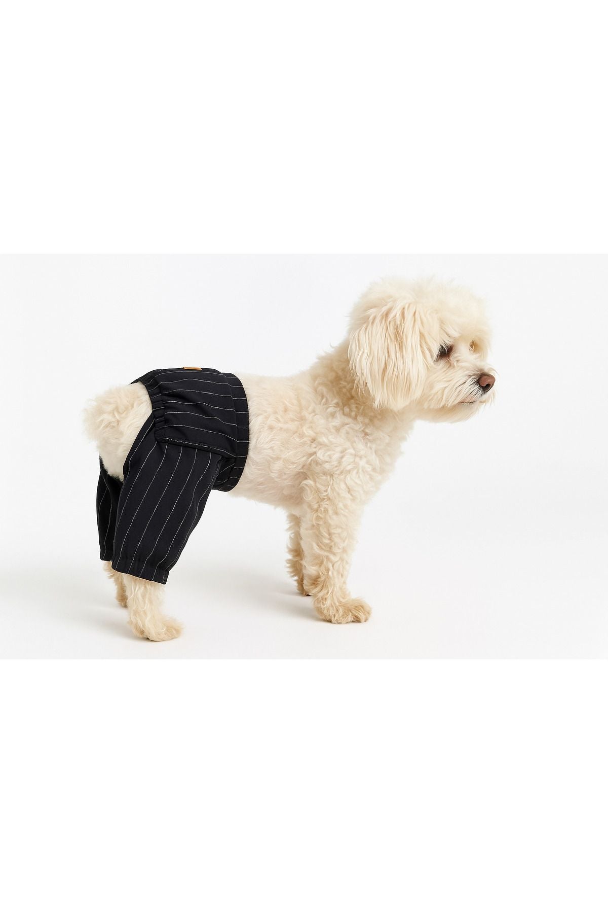 Dog or Cat Pants - Black and White Striped