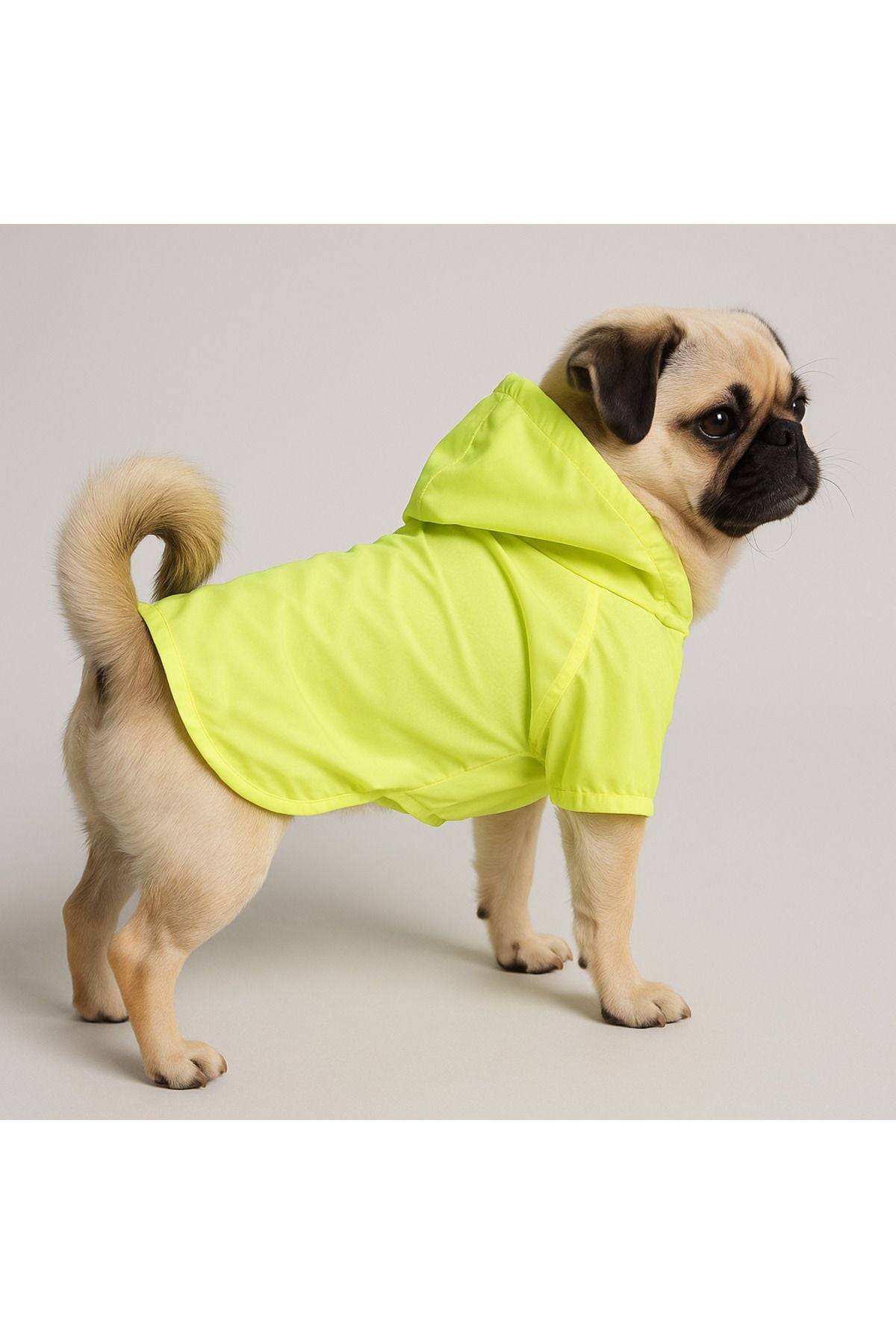 Dog Raincoat - Waterproof - Mesh - Blank Neon Green
