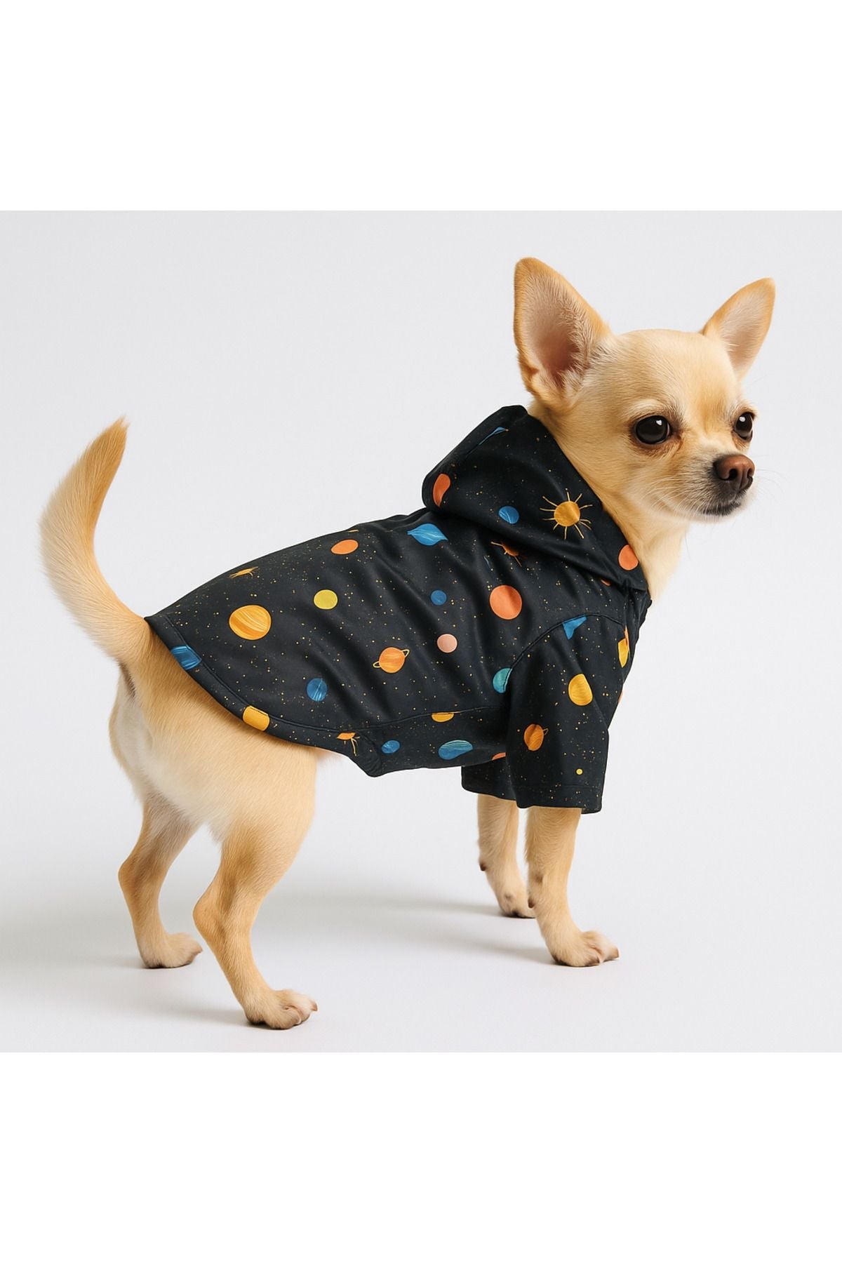 Dog Raincoat - Waterproof - Mesh - Black Space