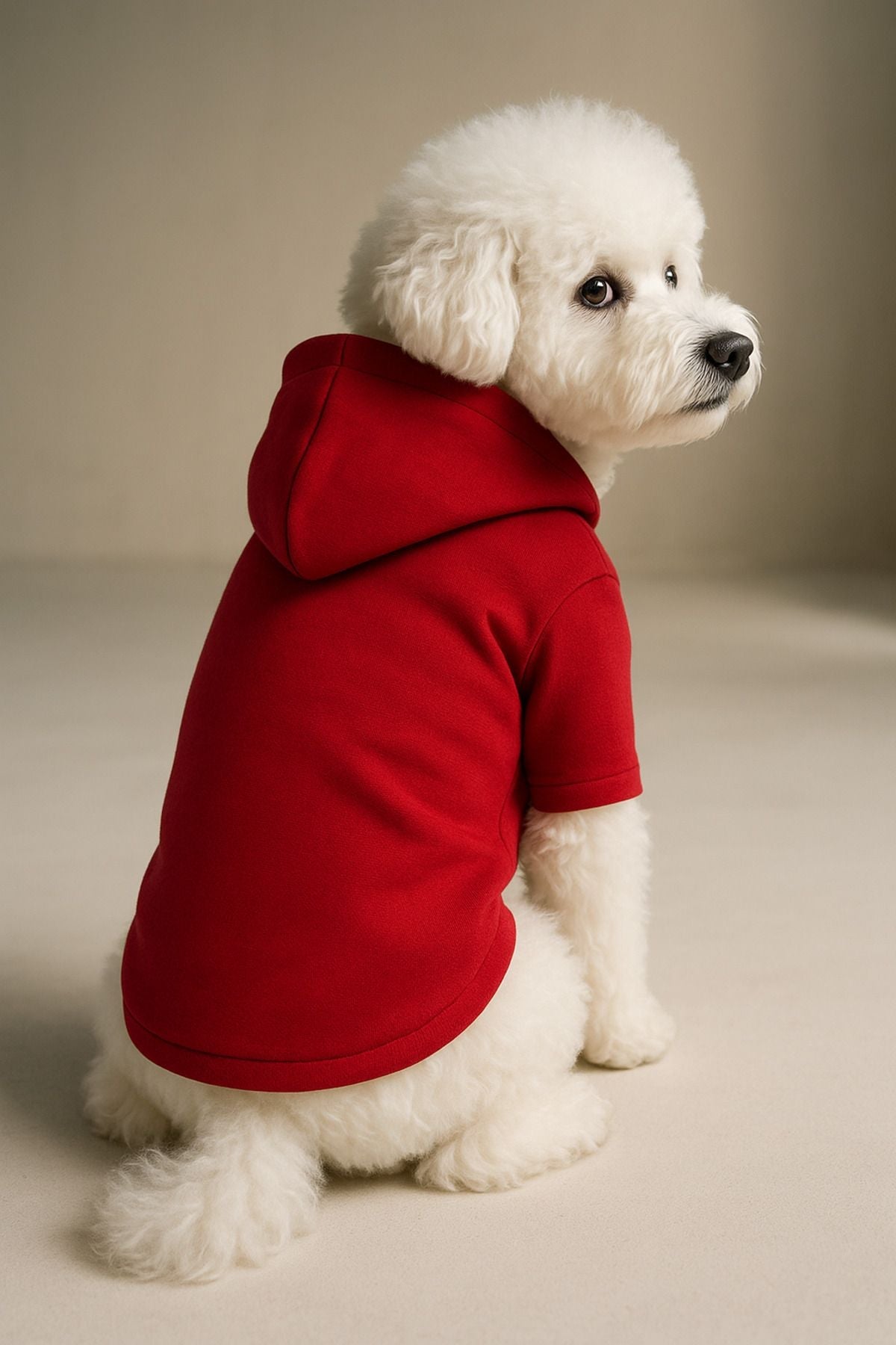 Dog or Cat Hoodie - Blank Red