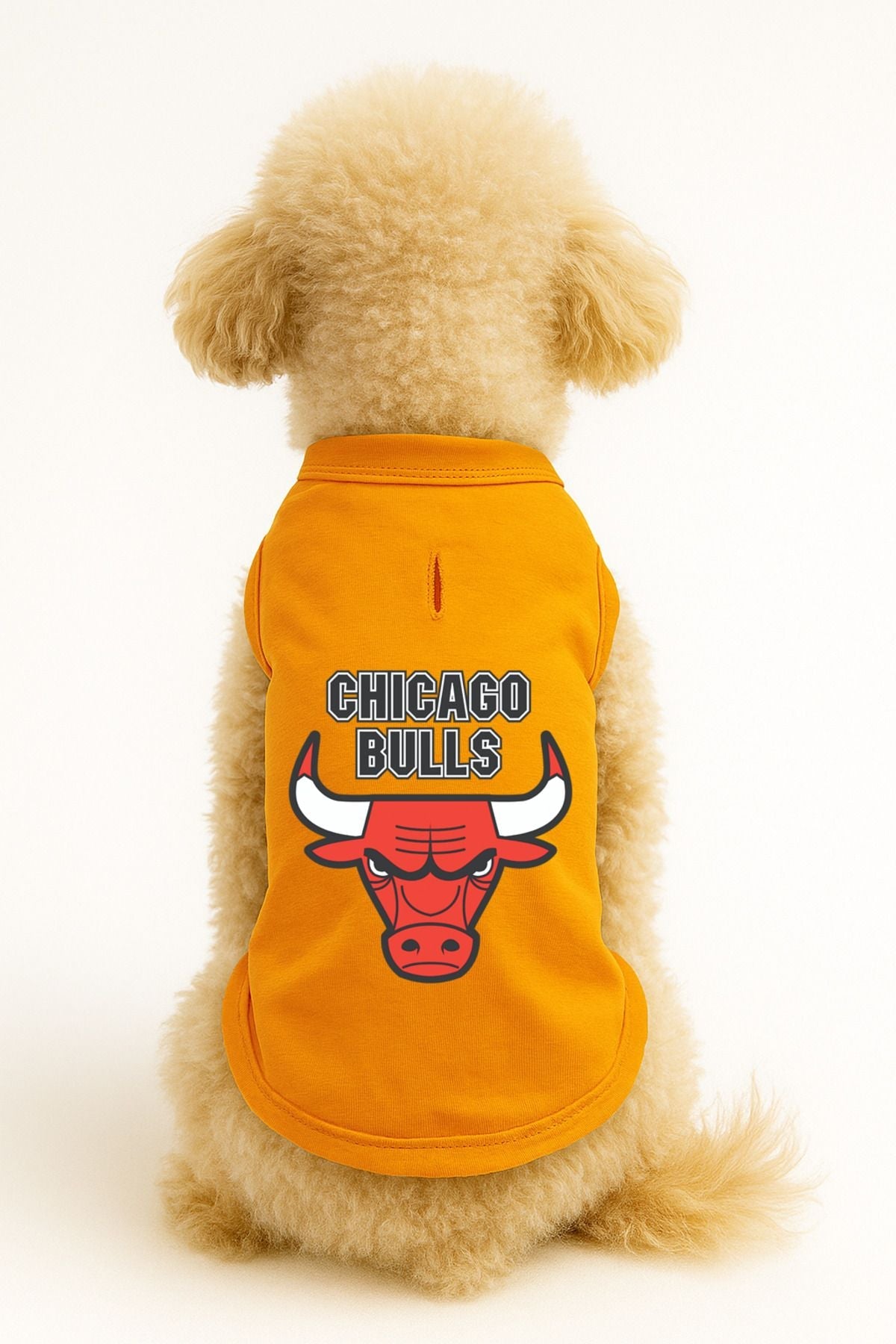 Dog or Cat T-Shirt - Orange Chicago Bulls