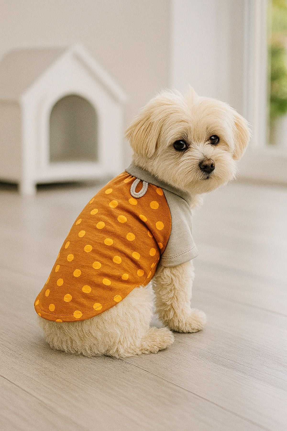 Dog or Cat Shirt - Orange Polka Dot