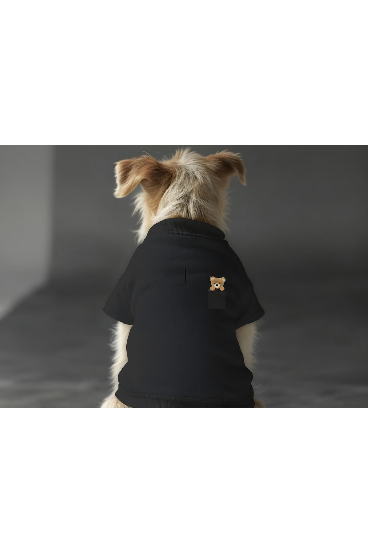 Dog or Cat Sweatshirt - Black Bear Pocket