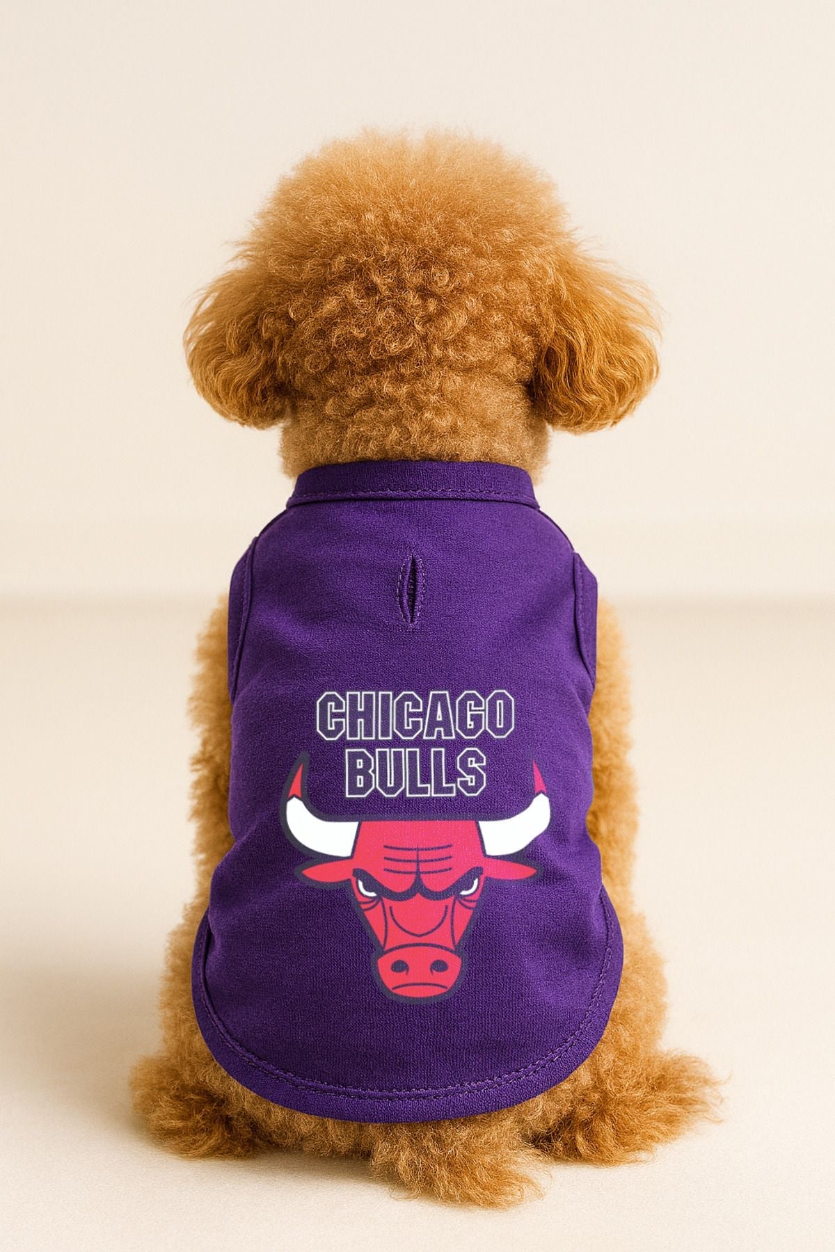 Dog or Cat T-Shirt - Purple Chicago Bulls