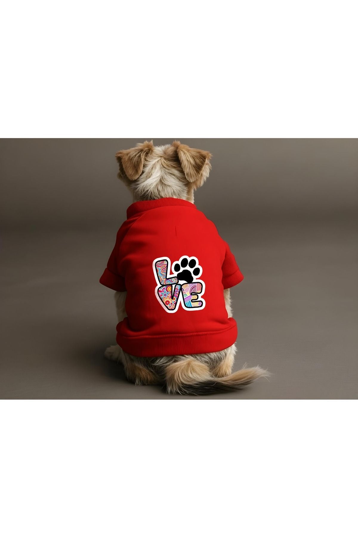 Dog or Cat Sweatshirt - Red Colorful Love
