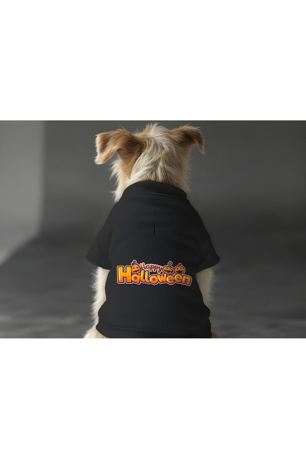 Dog or Cat Sweatshirt - Black Hallowen