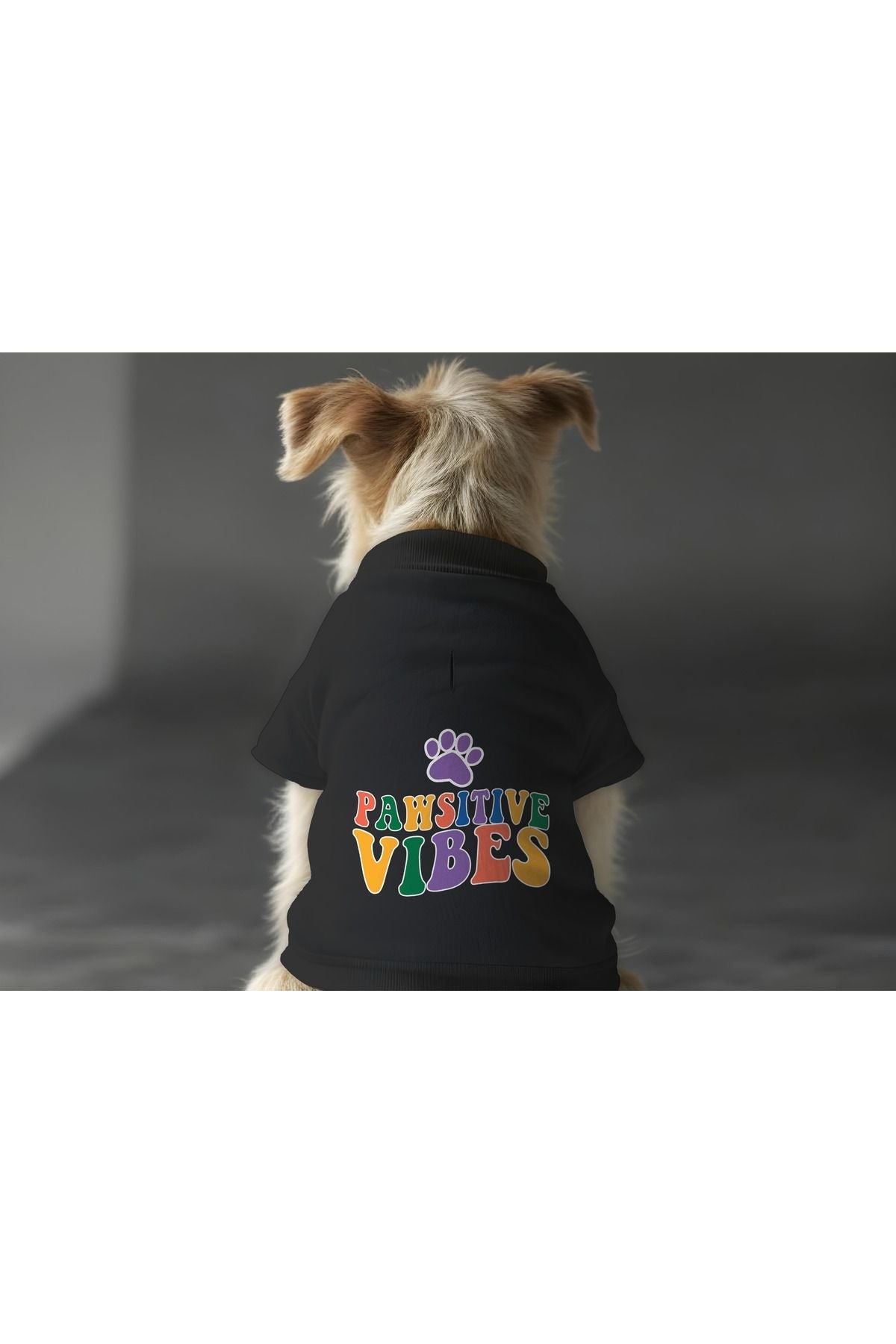 Dog or Cat Sweatshirt - Black Pawsitive Vibes