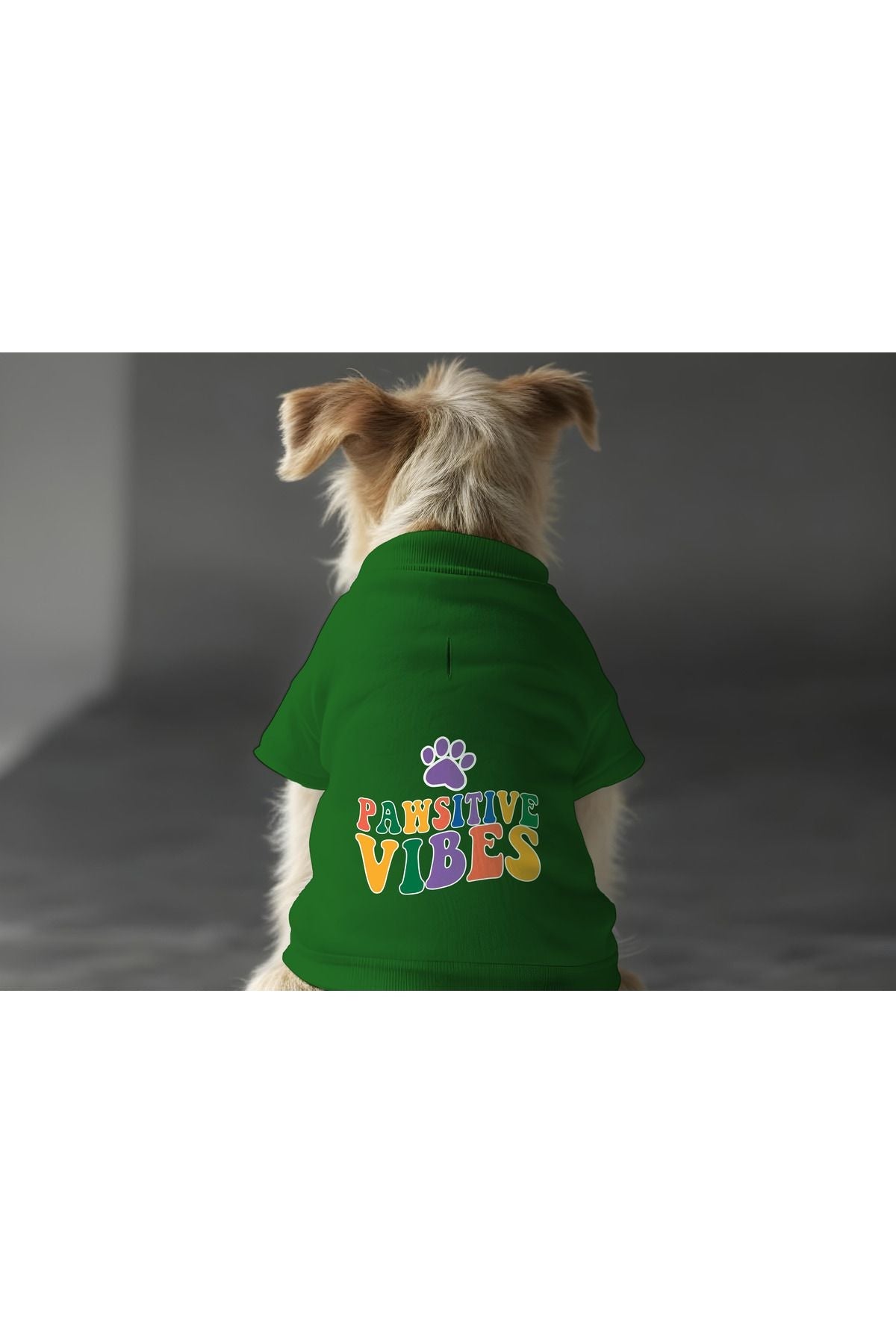 Dog or Cat Sweatshirt - Green Pawsitive Vibes
