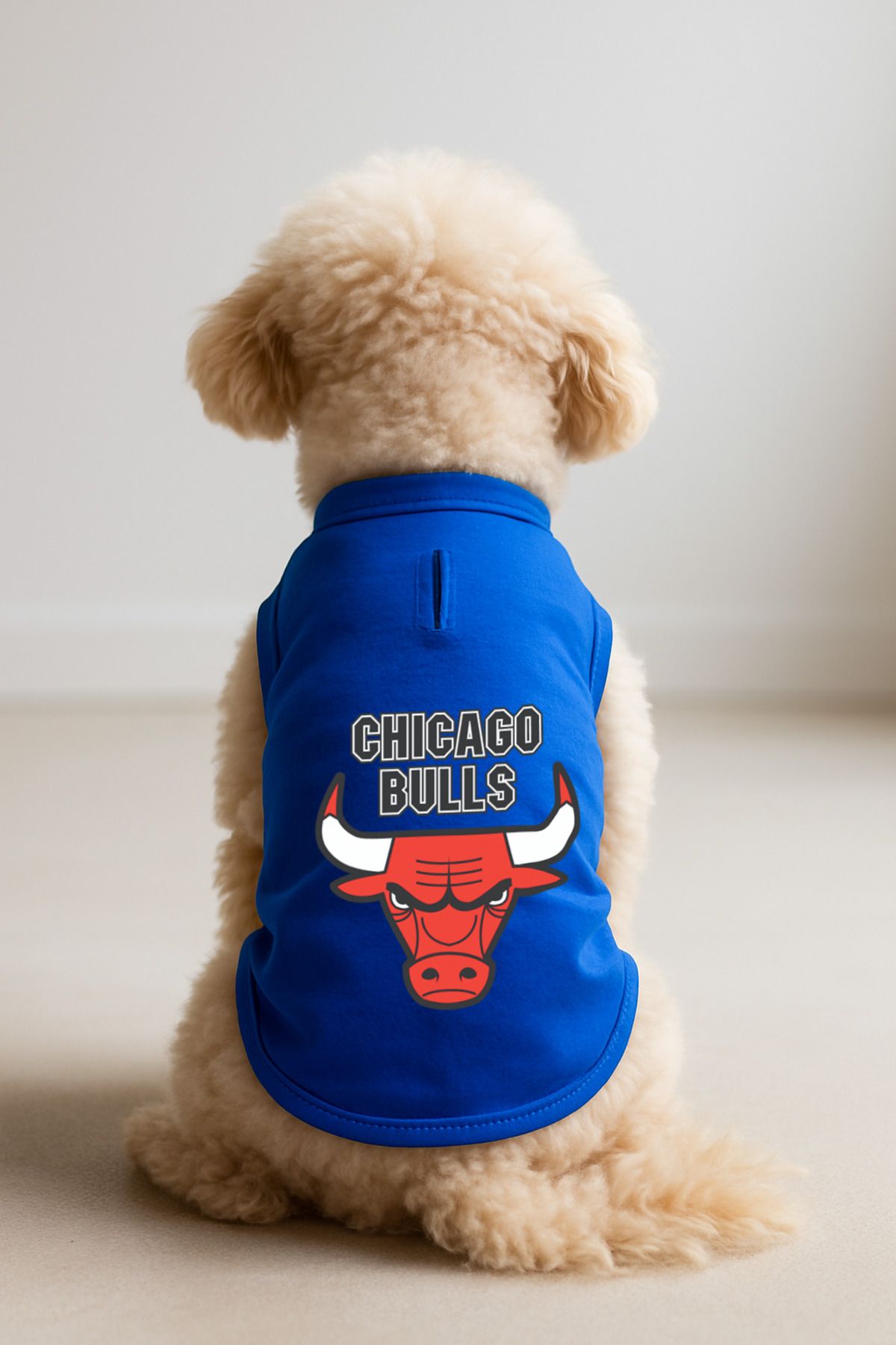 Dog or Cat T-Shirt - Blue Chicago Bulls