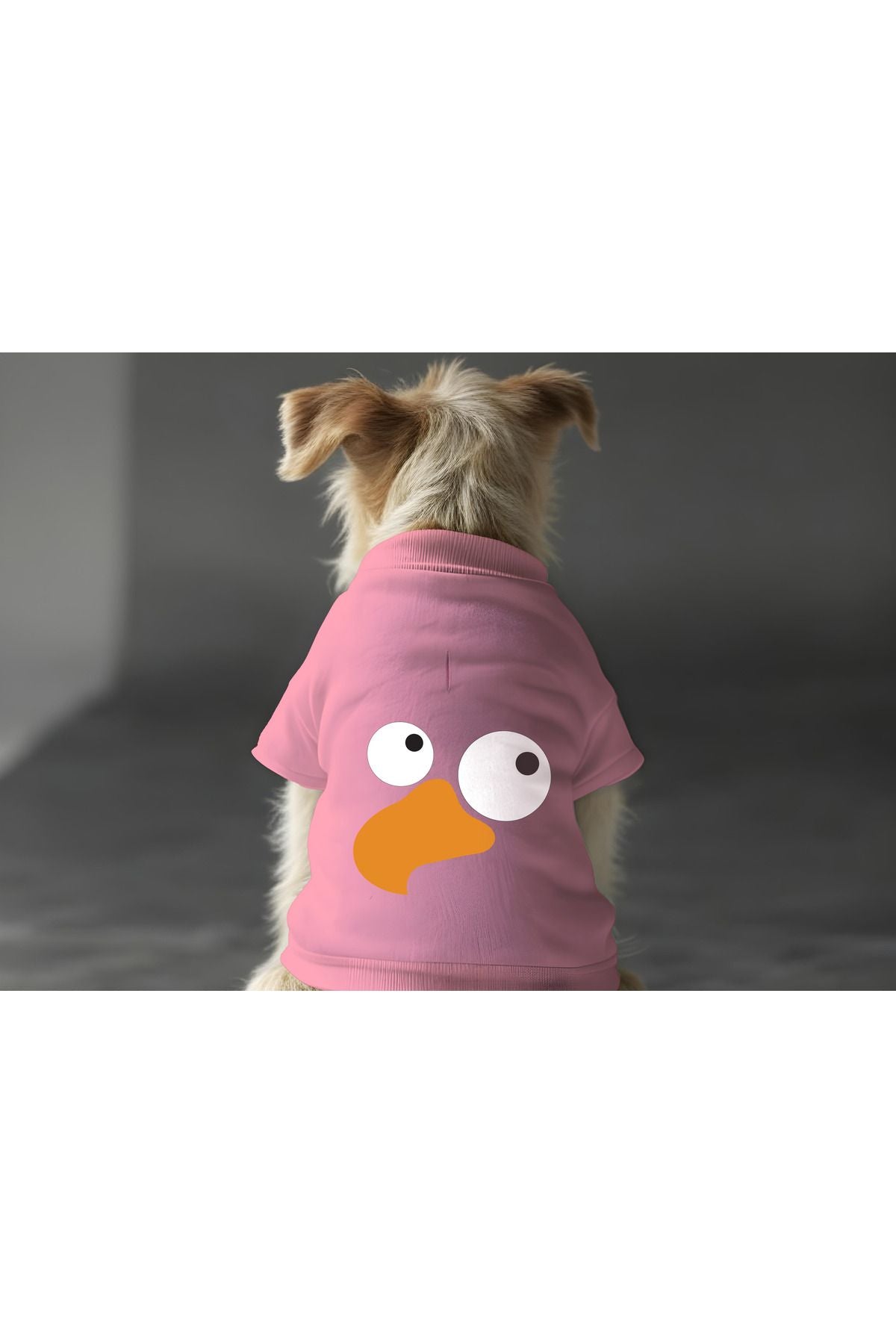 Dog or Cat Sweatshirt - Pink Bird