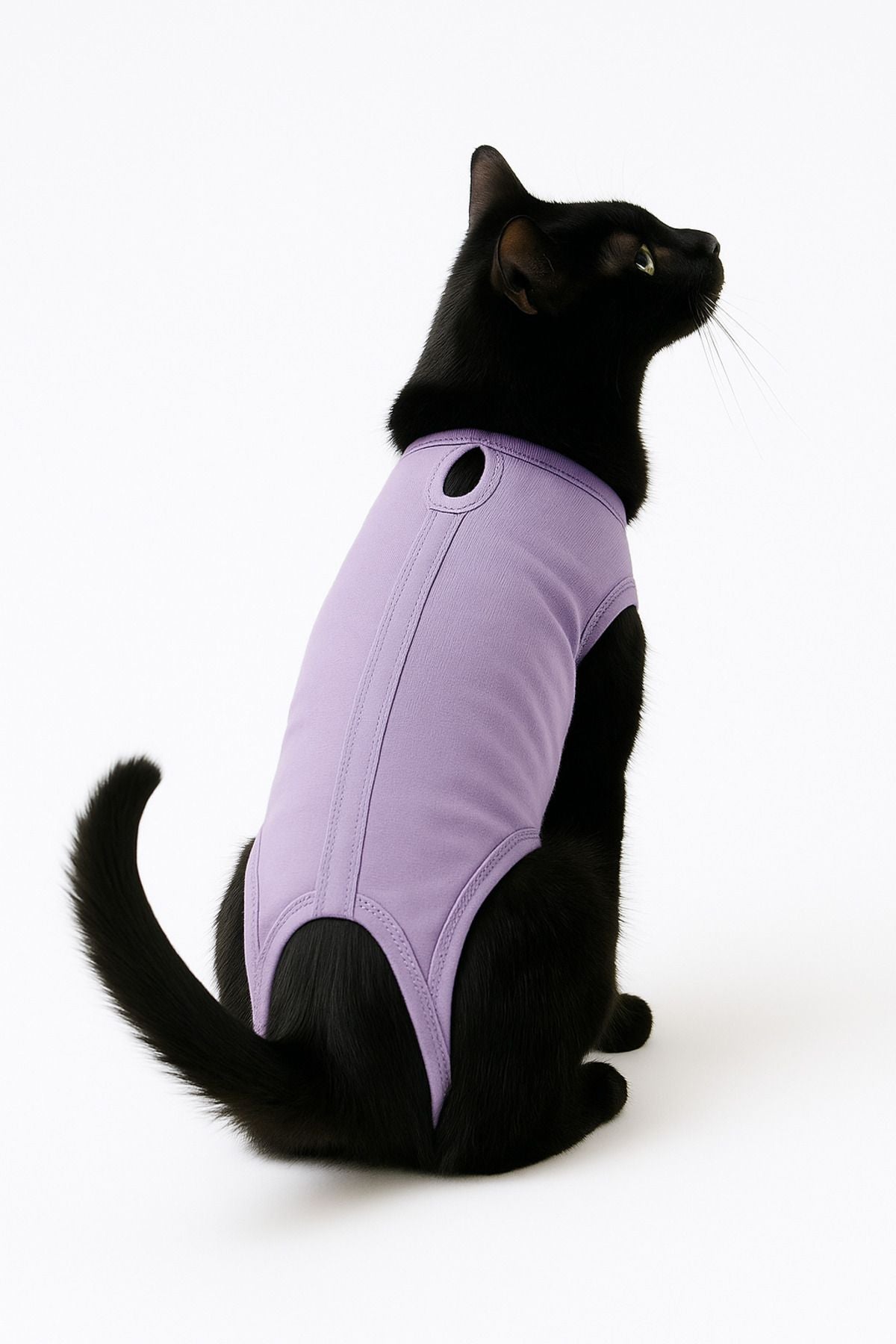 Lilac Medical Veterinary Coverall