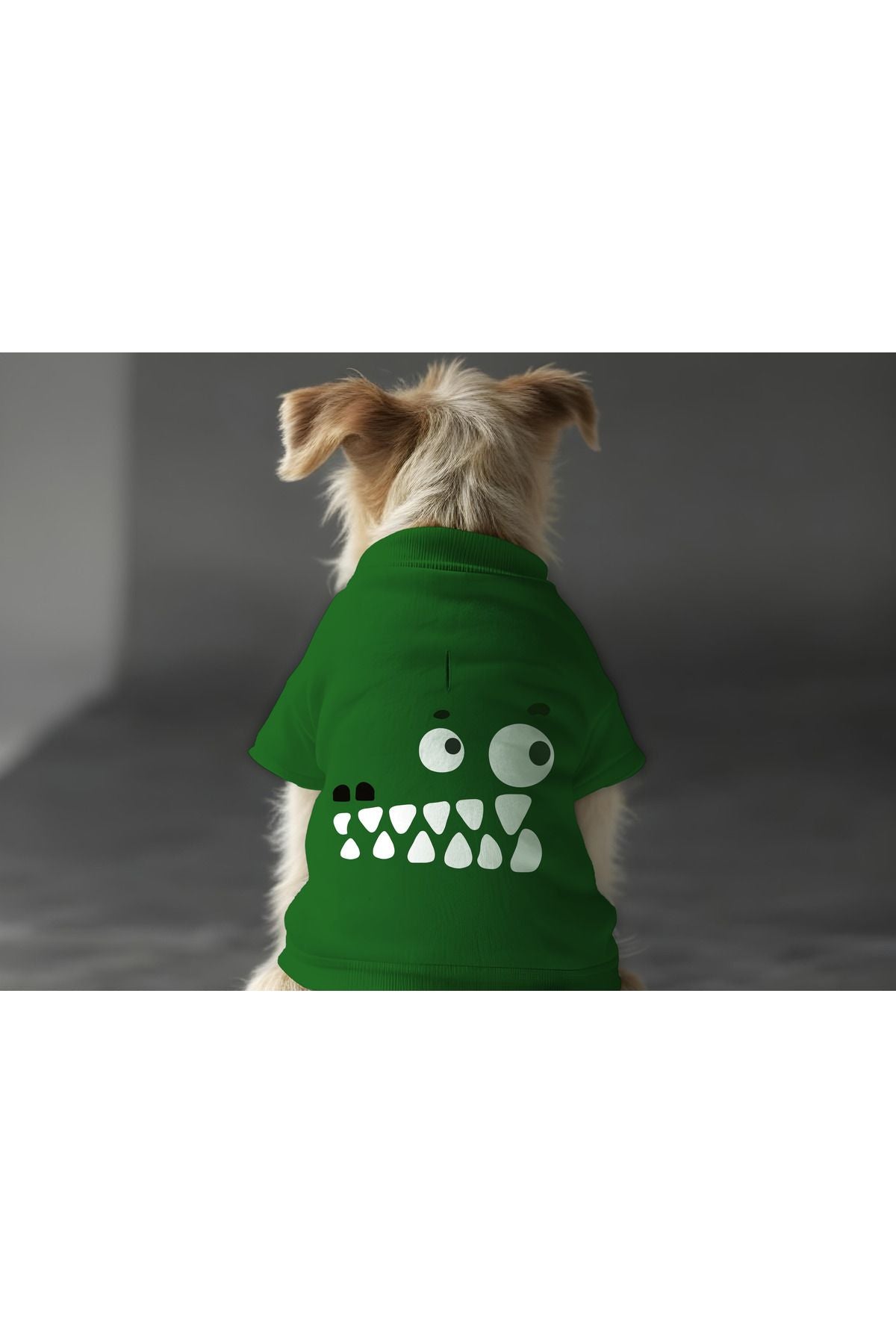 Dog or Cat Sweatshirt - Green Crocodile
