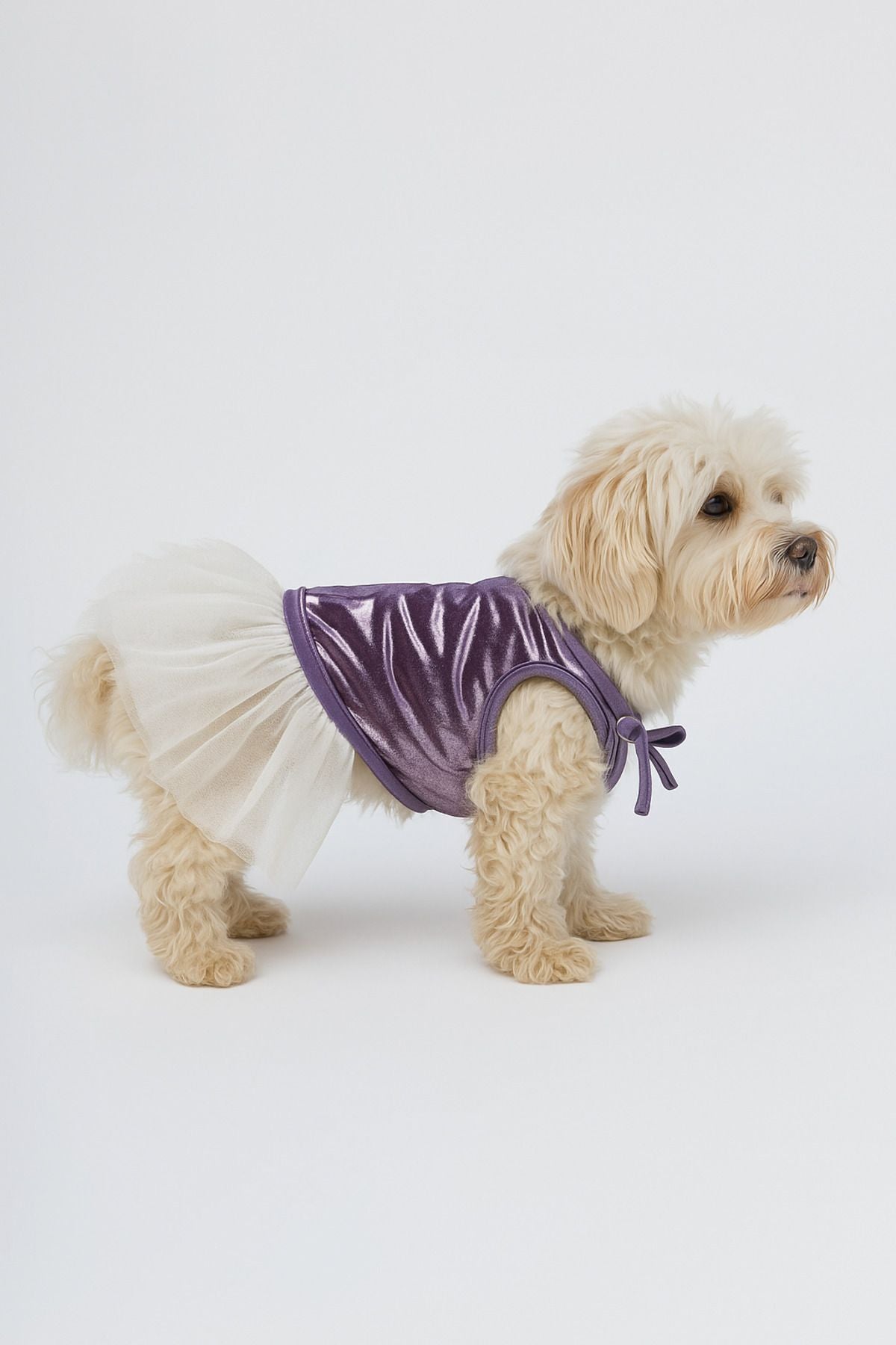 Dog and Cat Dress - Purpe Tulle