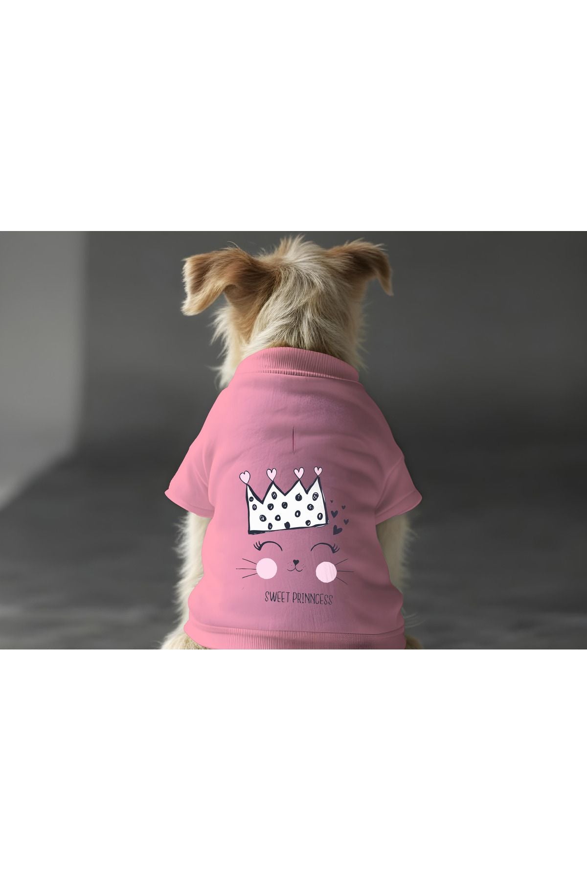 Dog or Cat Sweatshirt - Pink Sweet Princess