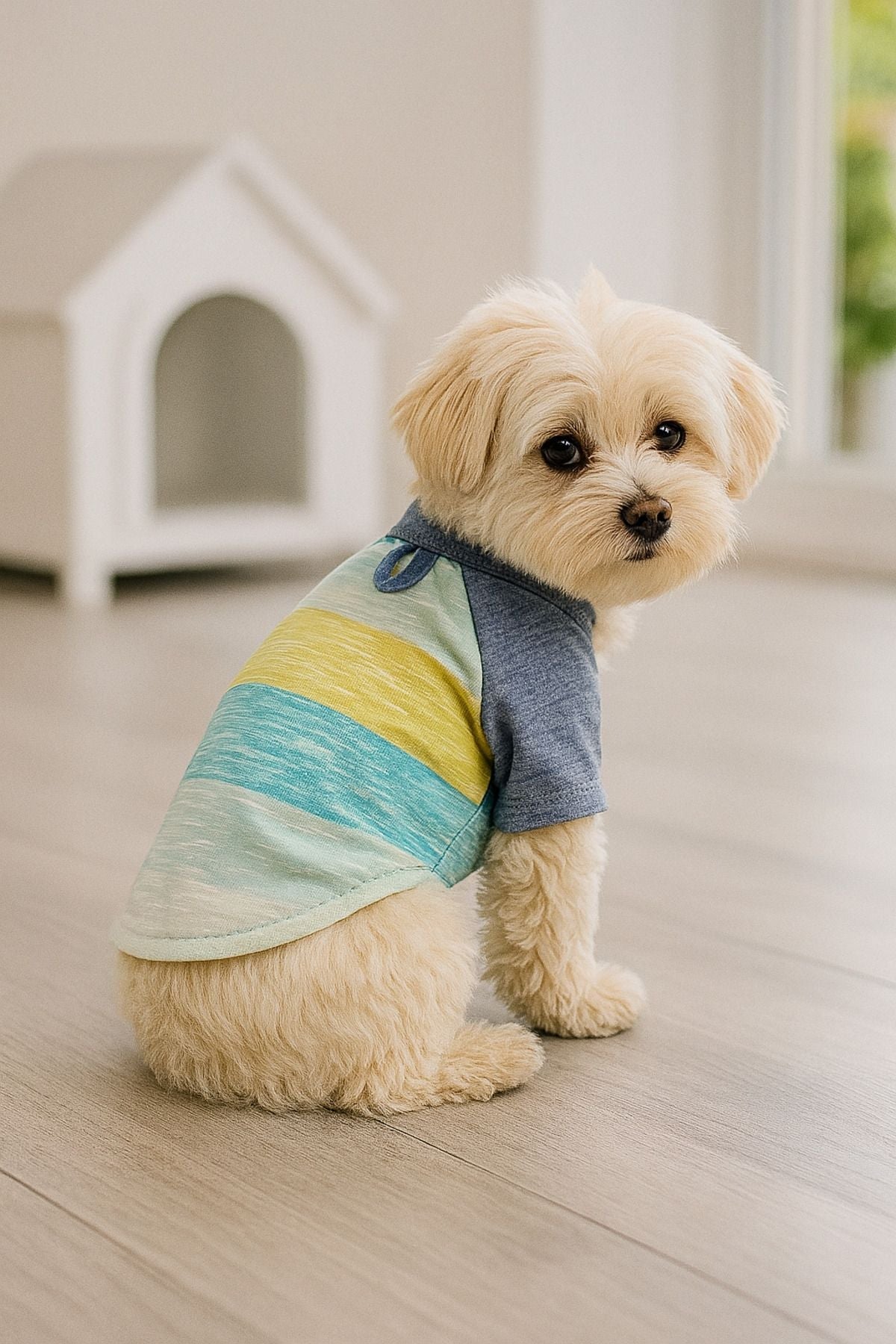 Dog or Cat Shirt - Colorful Striped