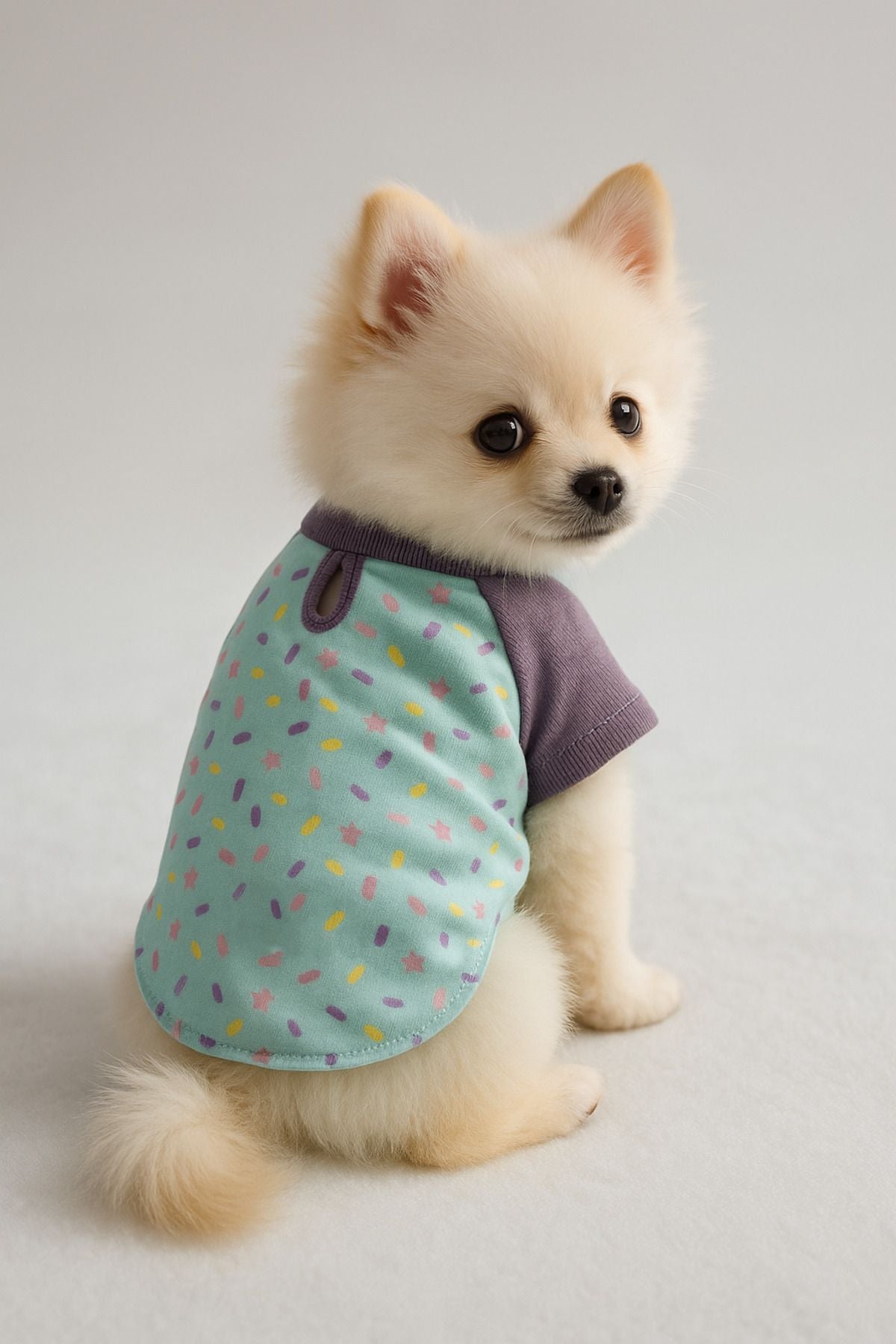 Dog or Cat Shirt - Purple Star