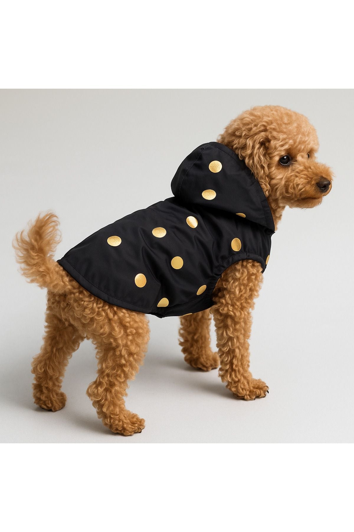 Dog Jacket & Vest - Polar Fleece Inside Gold Polka-Dotted