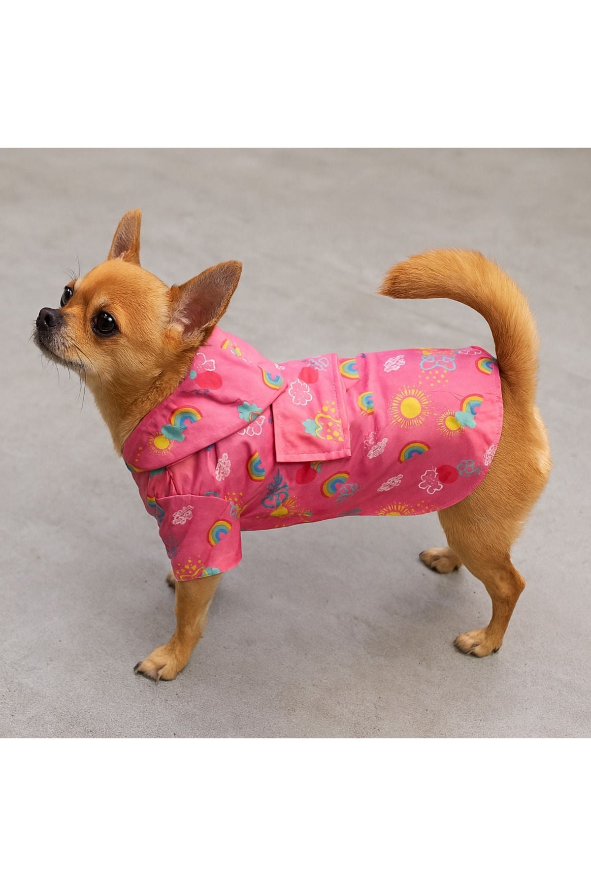 Dog Jacket & Vest - Polar Fleece Inside Rainbow