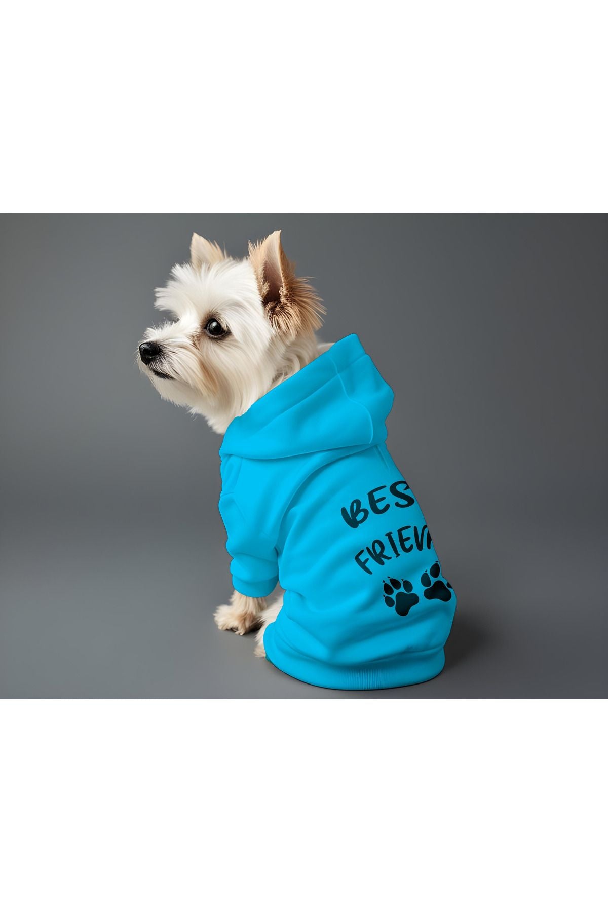 Dog or Cat Hoodie - Blue Best Friend