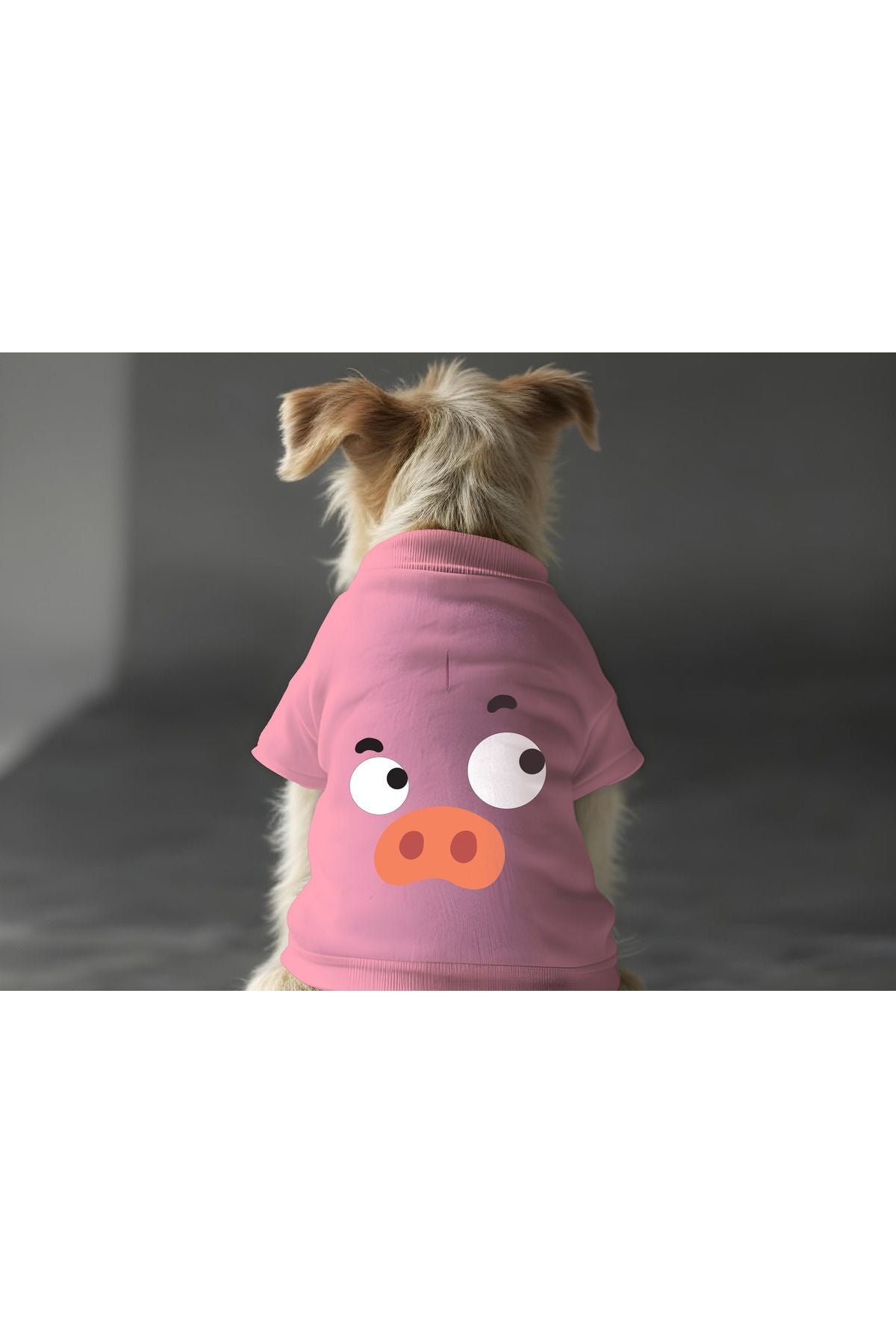 Dog or Cat Sweatshirt - Pink Pig